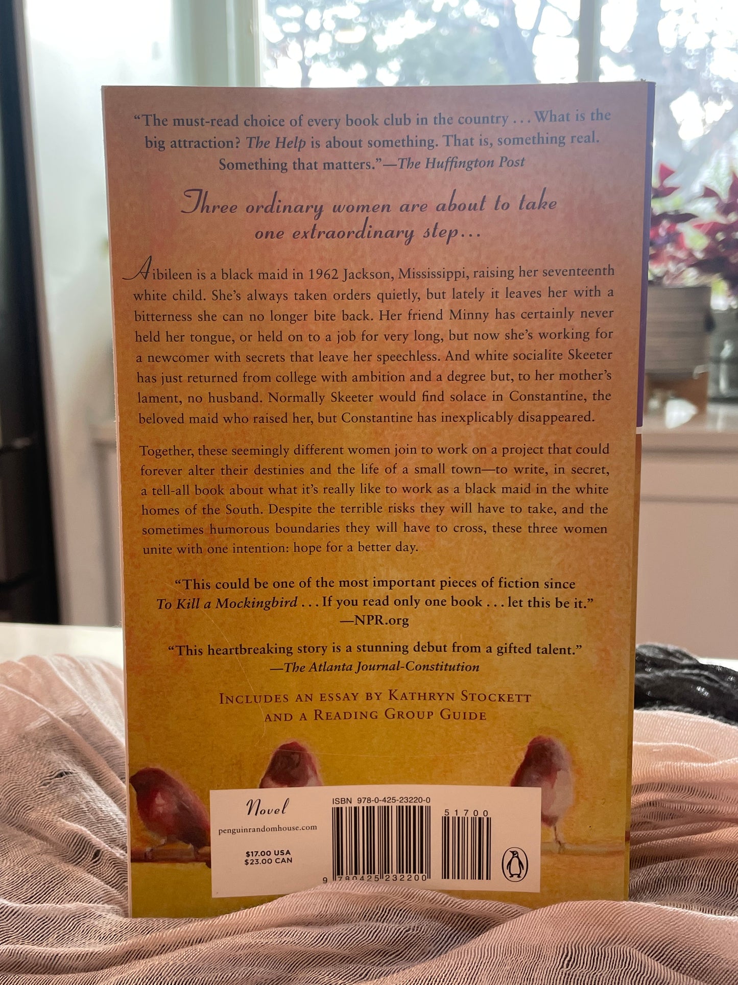 The Help (used book)