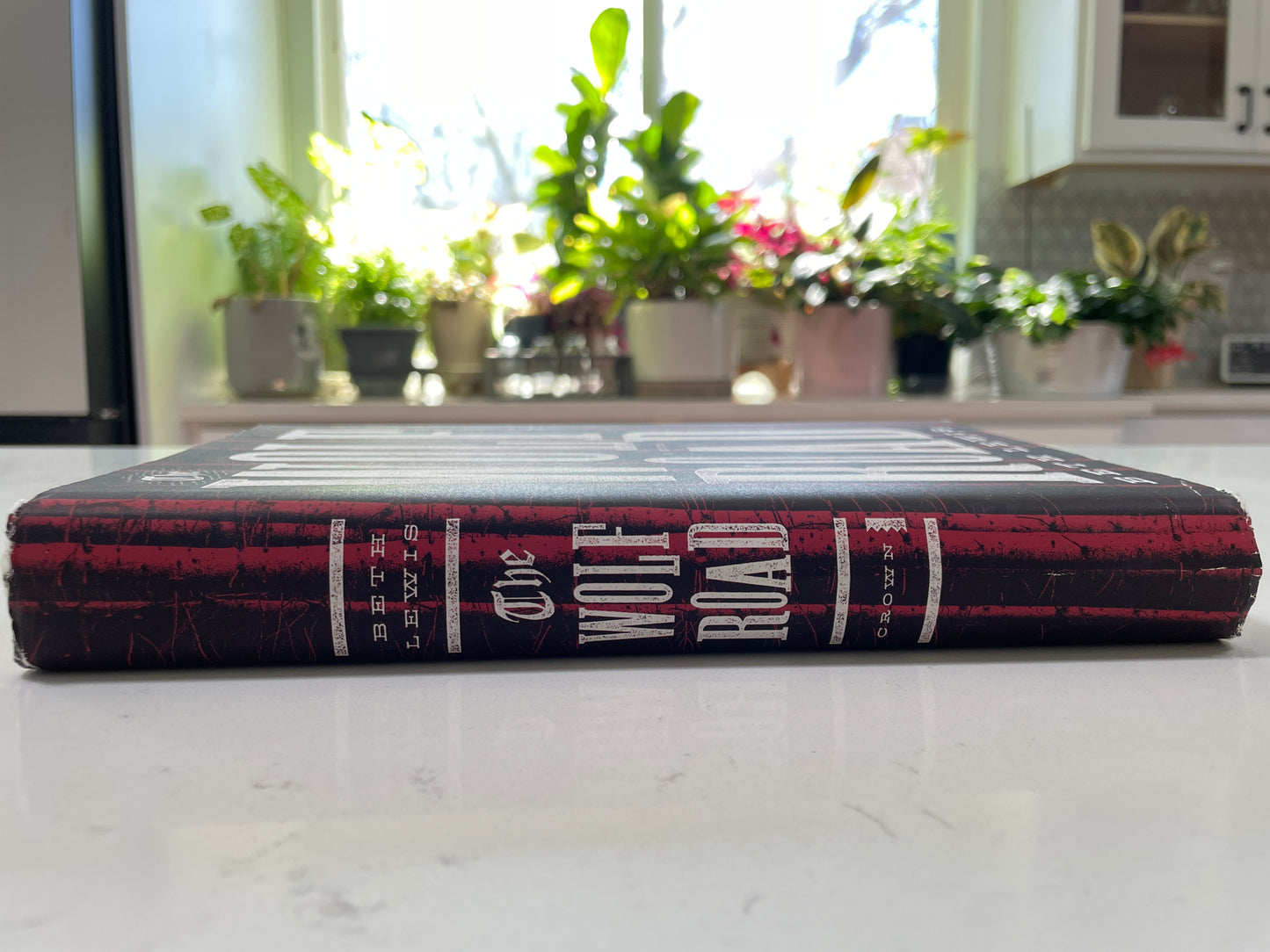 The Wolf Road by Beth Lewis (used book)