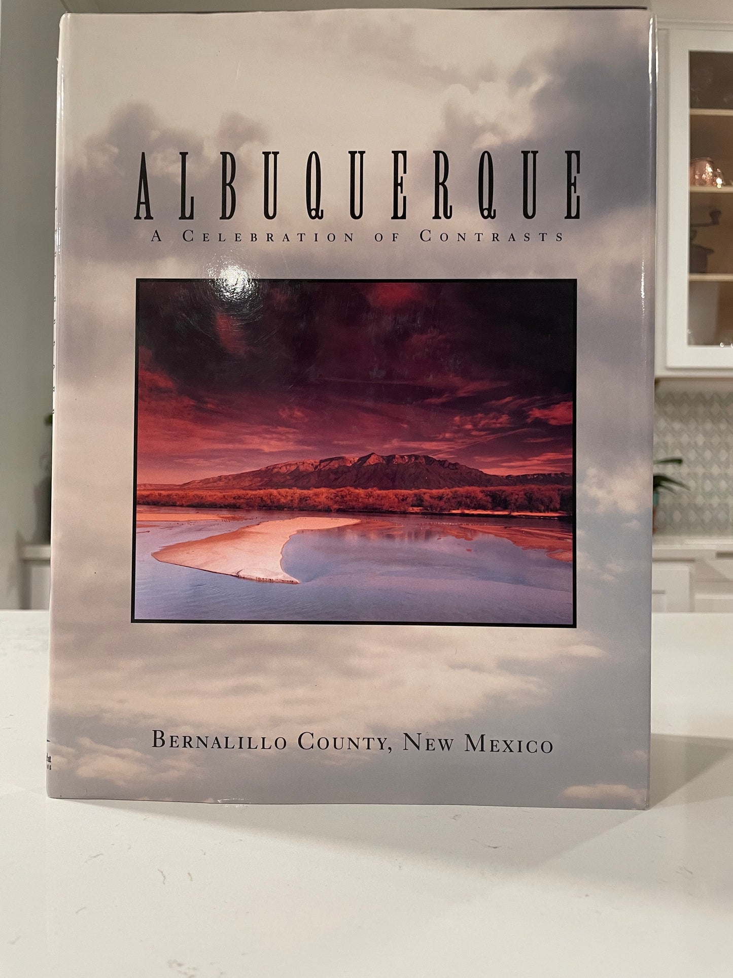 Albuquerque- A Celebration of Contrast (used book)