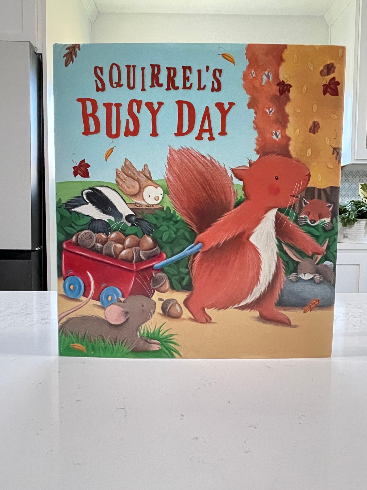 Squirrel's Busy Day by Lucy Barnard (used book)