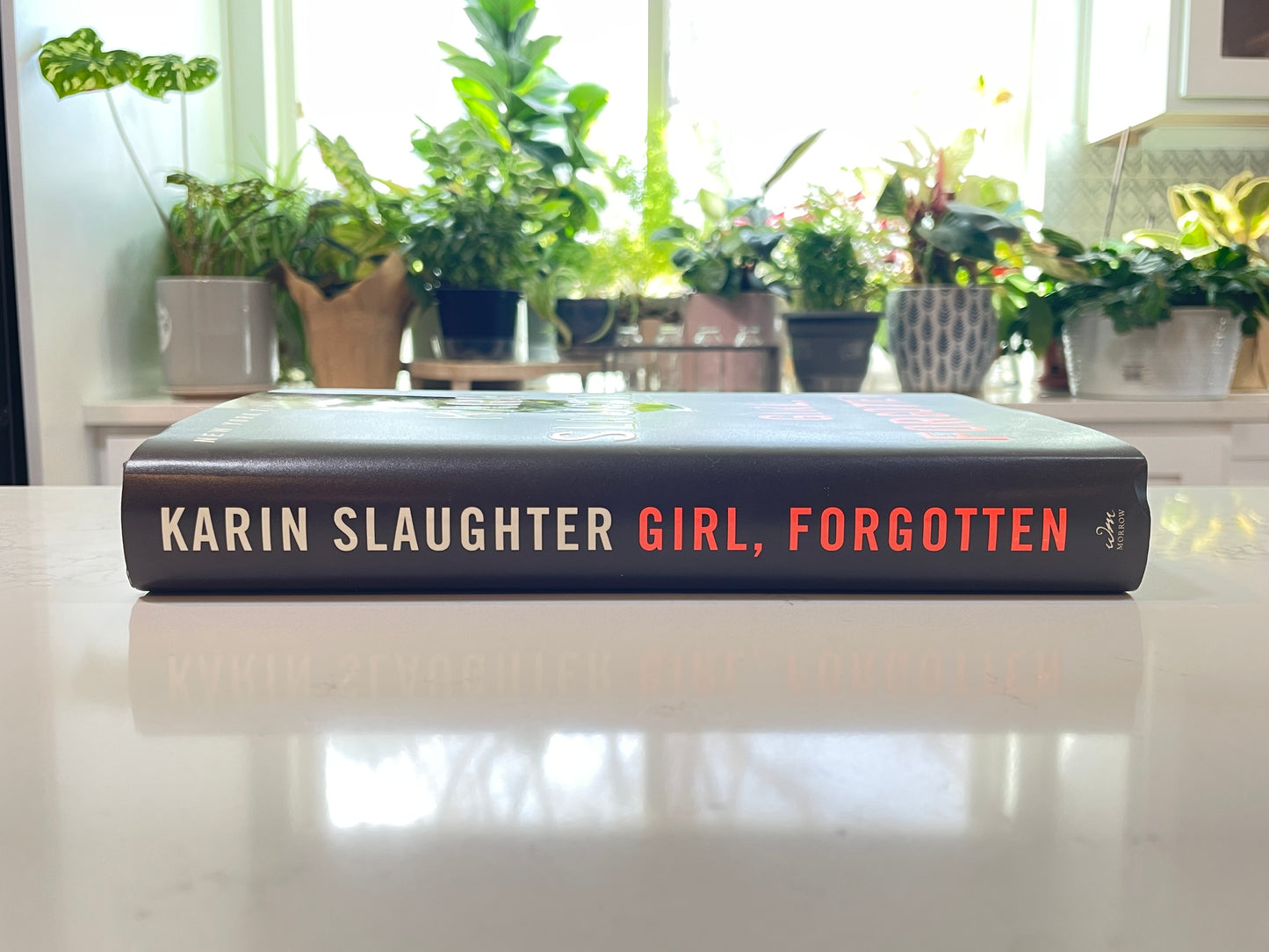 Girl, Forgotten by Karin Slaughter (new book)