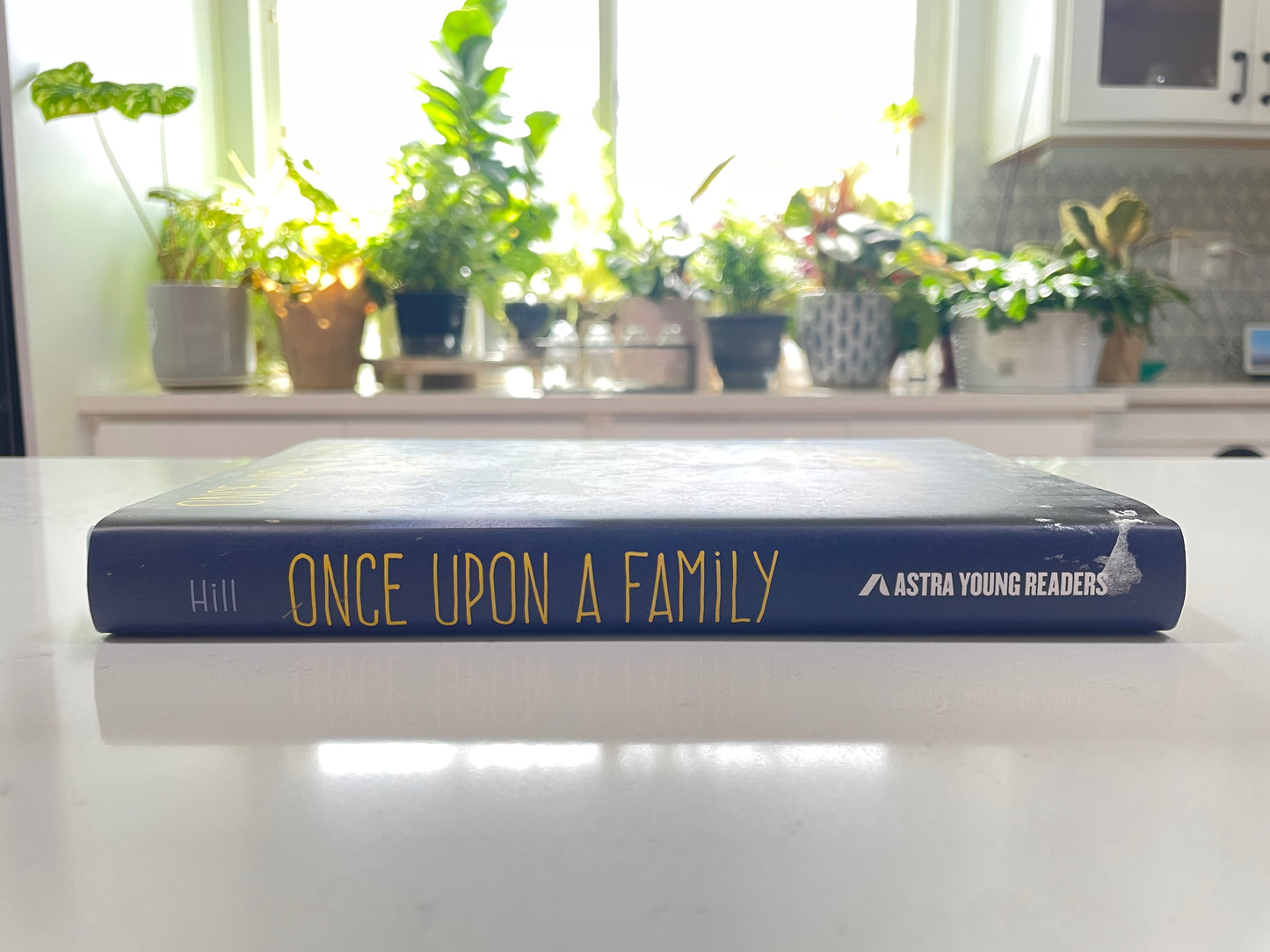 Once Upon a Family by Amanda Rawson Hill