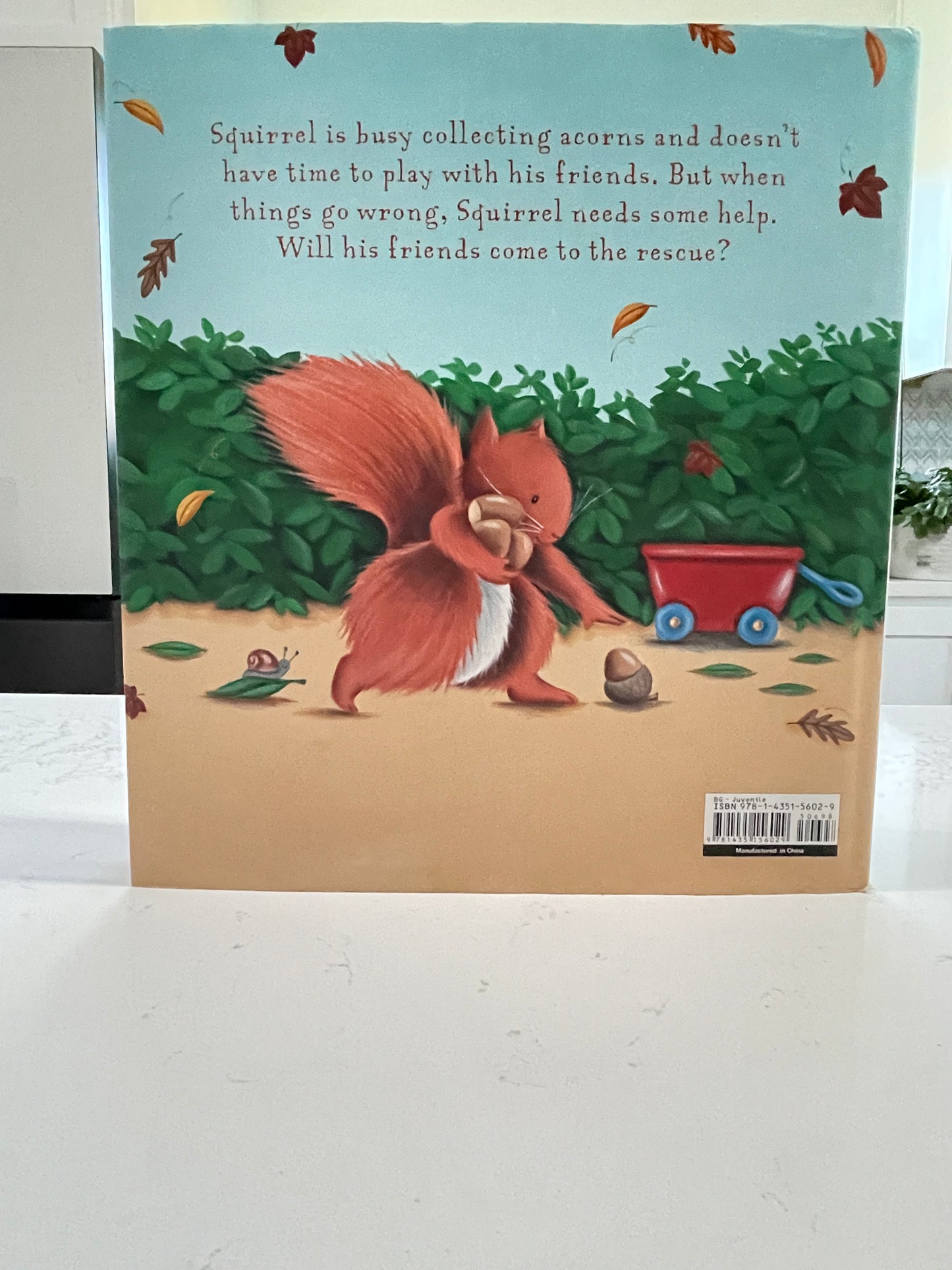 Squirrel's Busy Day by Lucy Barnard (used book)