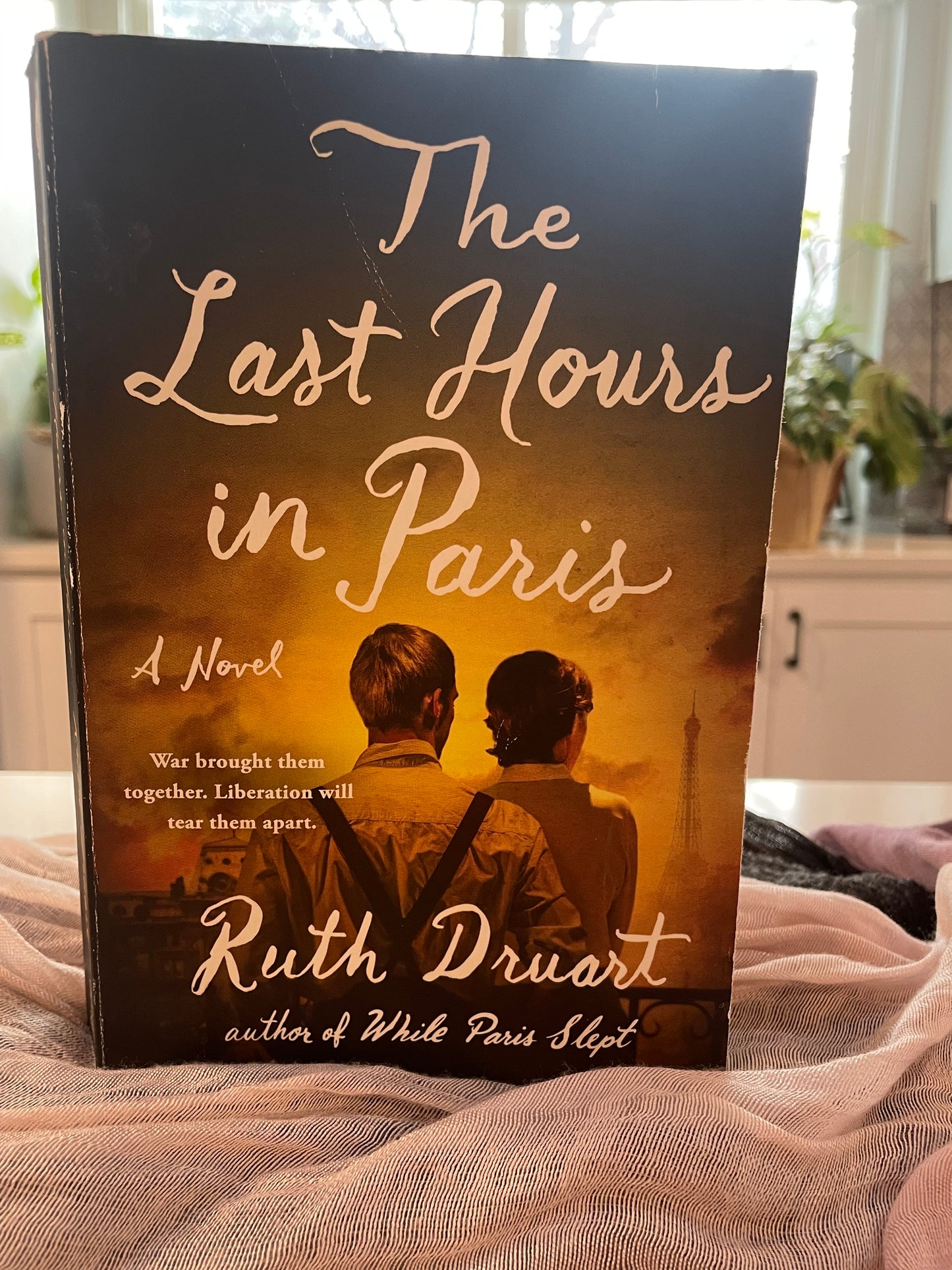 The Last House in Paris (used book)