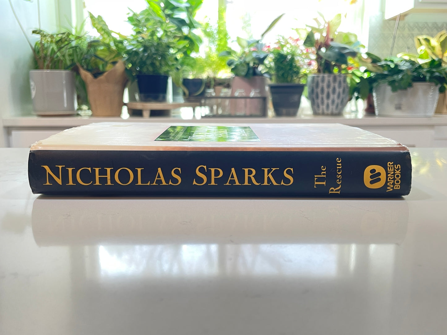 The Rescue by Nicholas Sparks (secondhand book)