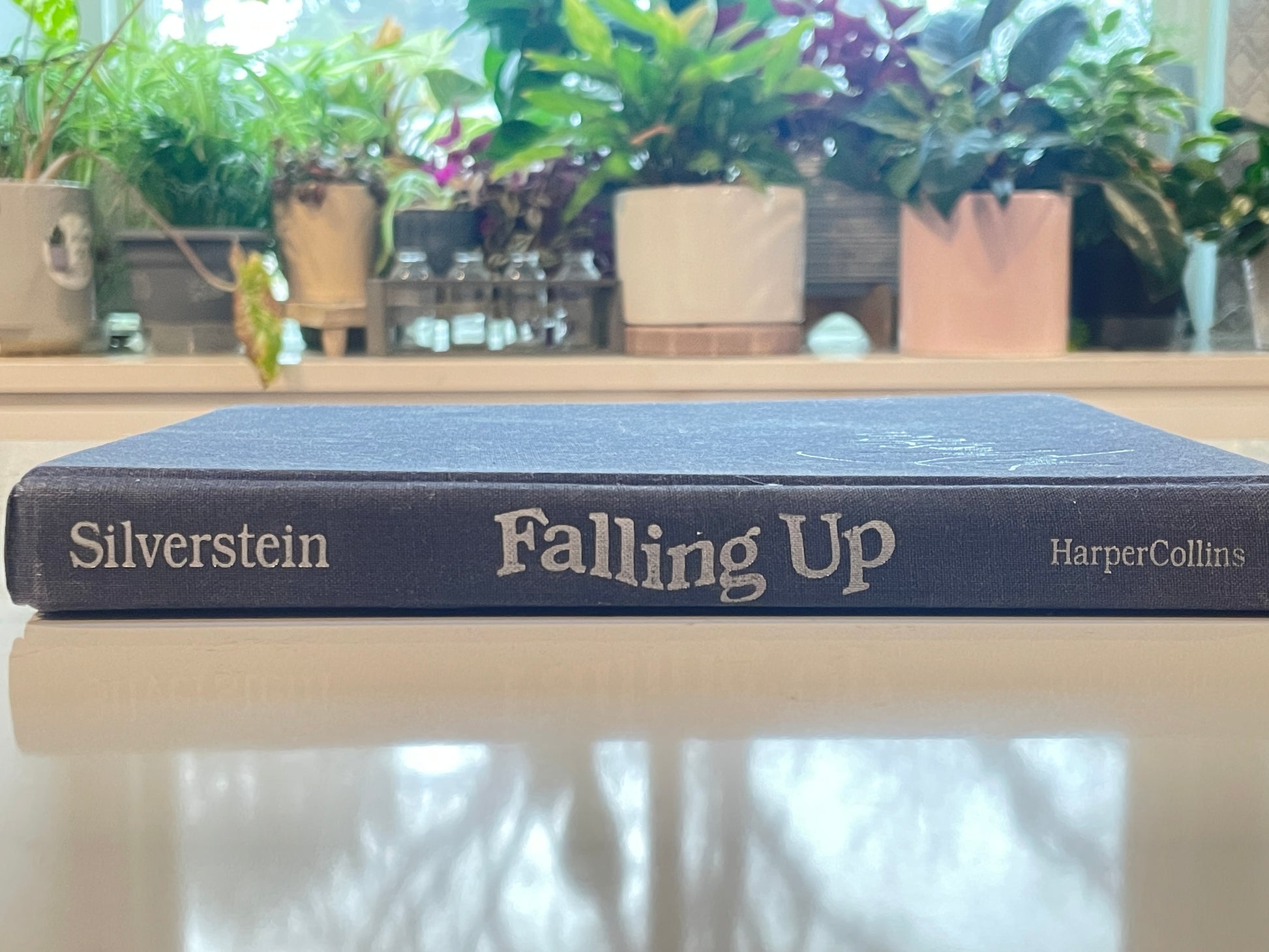 Falling Up by Shell Silverstein (used book) – You Me and a Cup of Tea