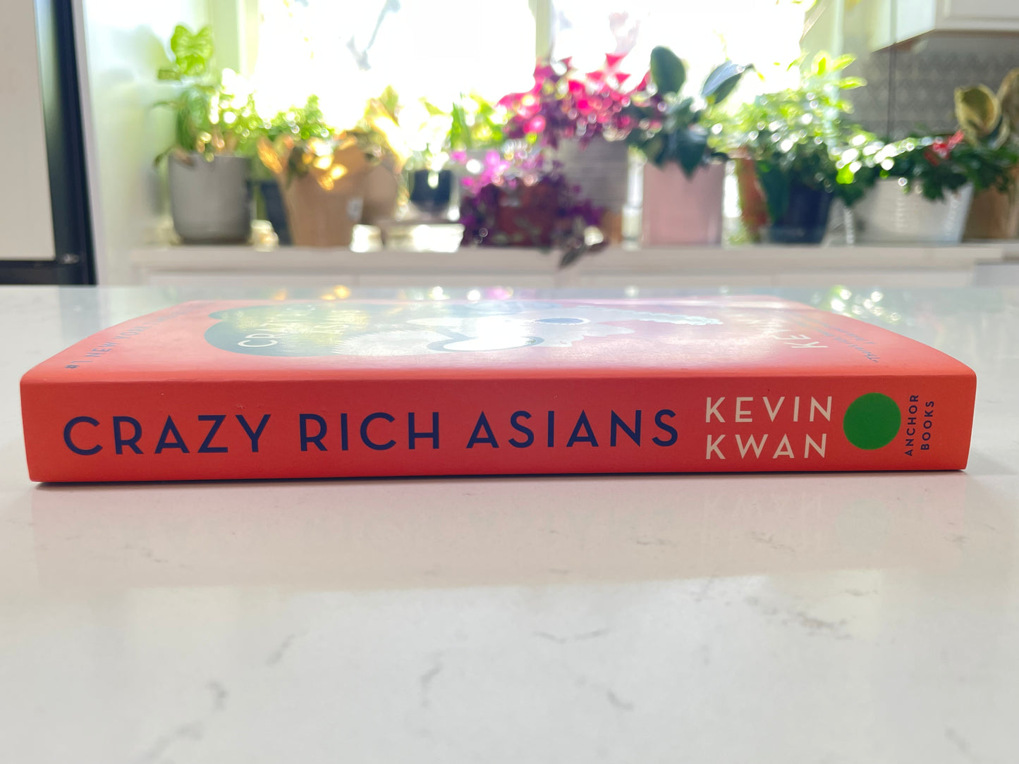 Crazy Rich Asians (used book)