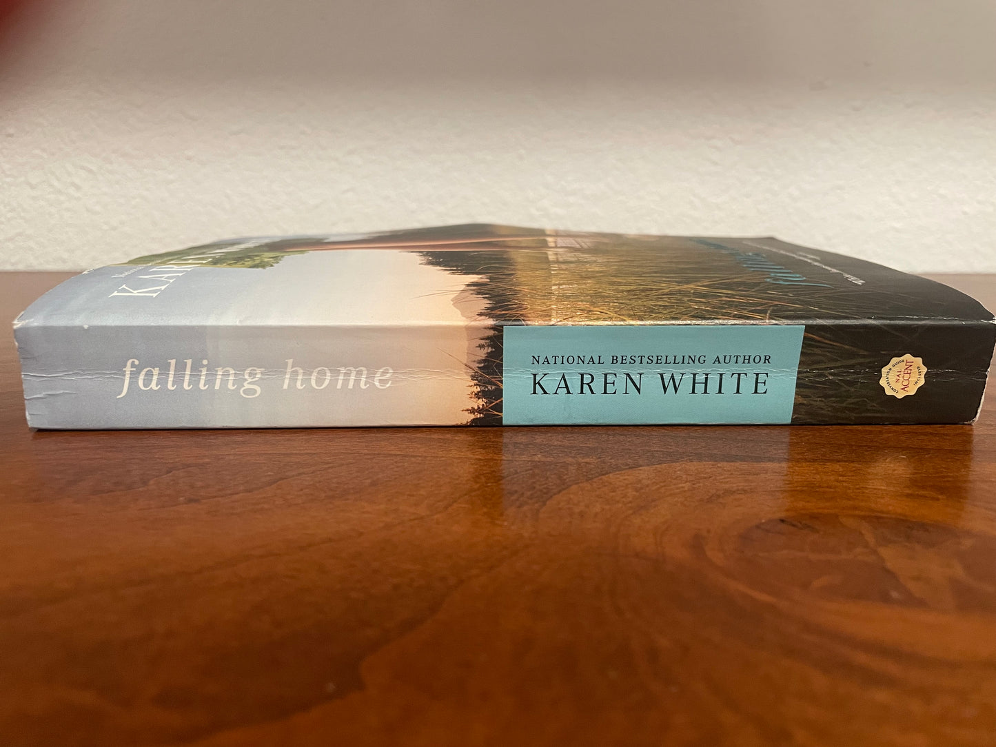 Falling Home (used book)