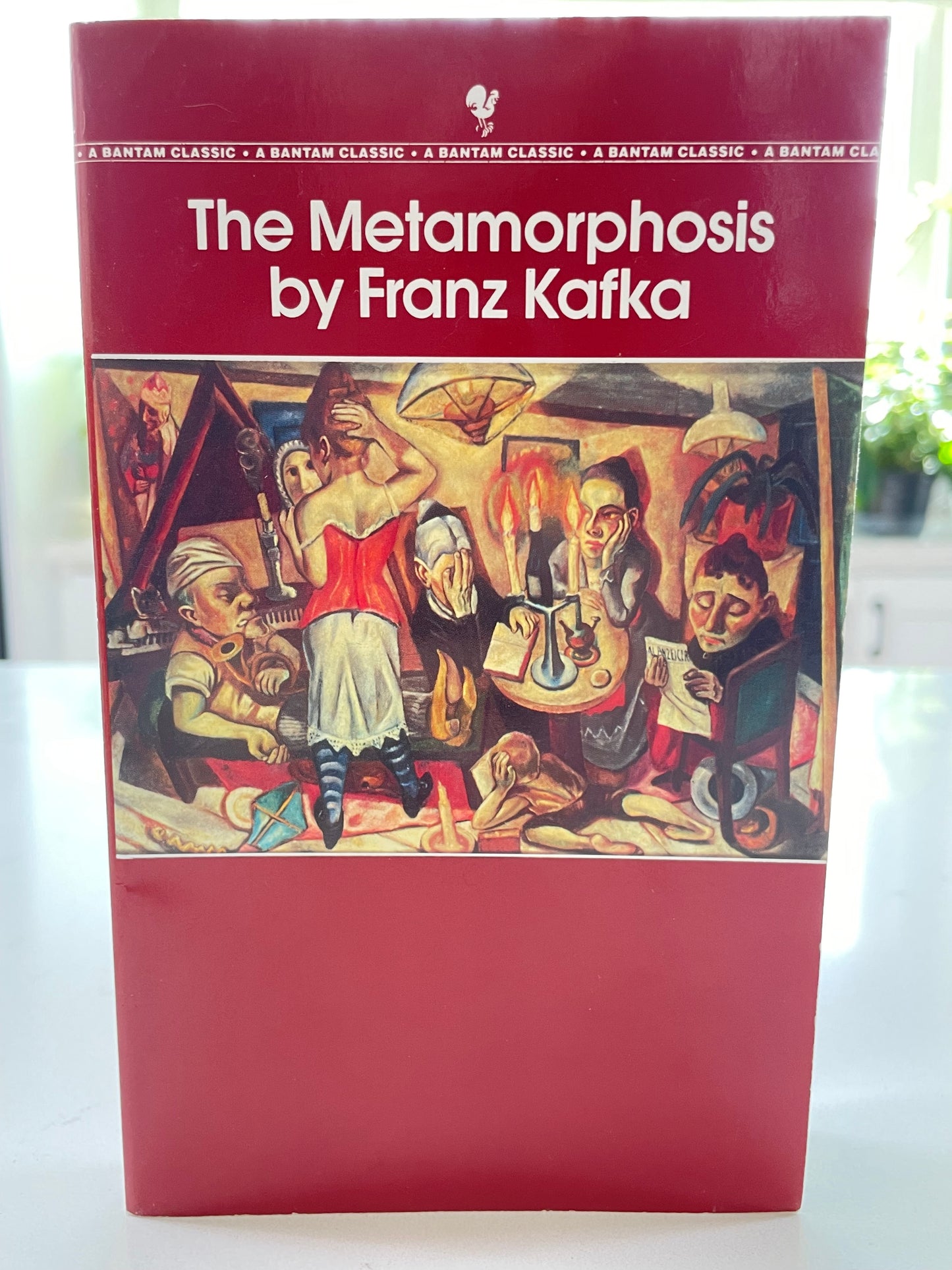 The Metamorphosis (used book)