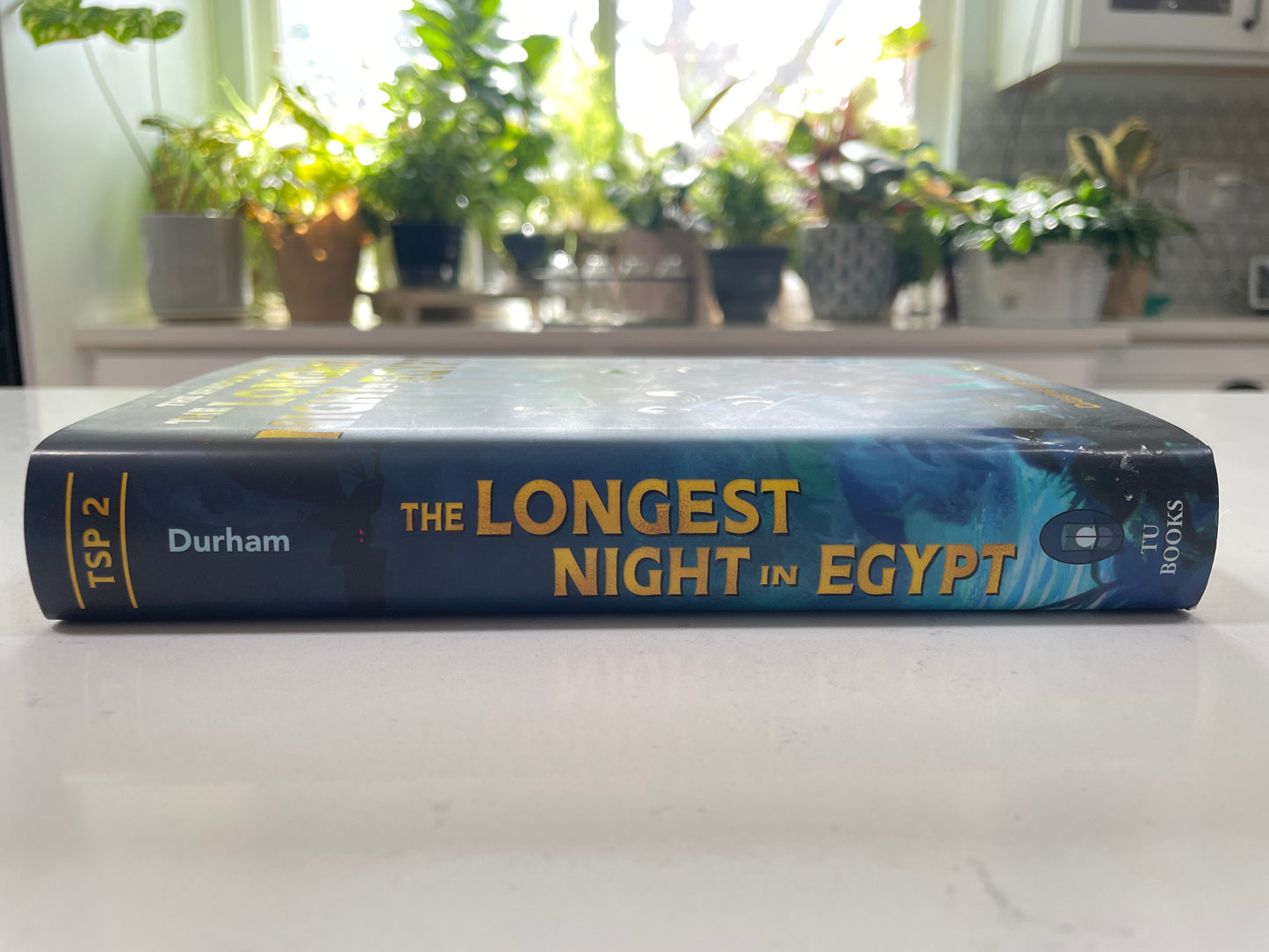 The Longest Night in Egypt by David Anthony Durham