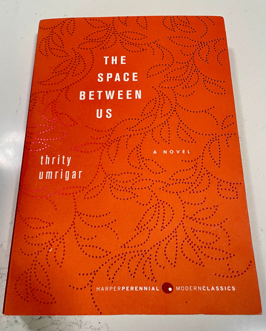 The Space Between Us by Thirty Umrigar