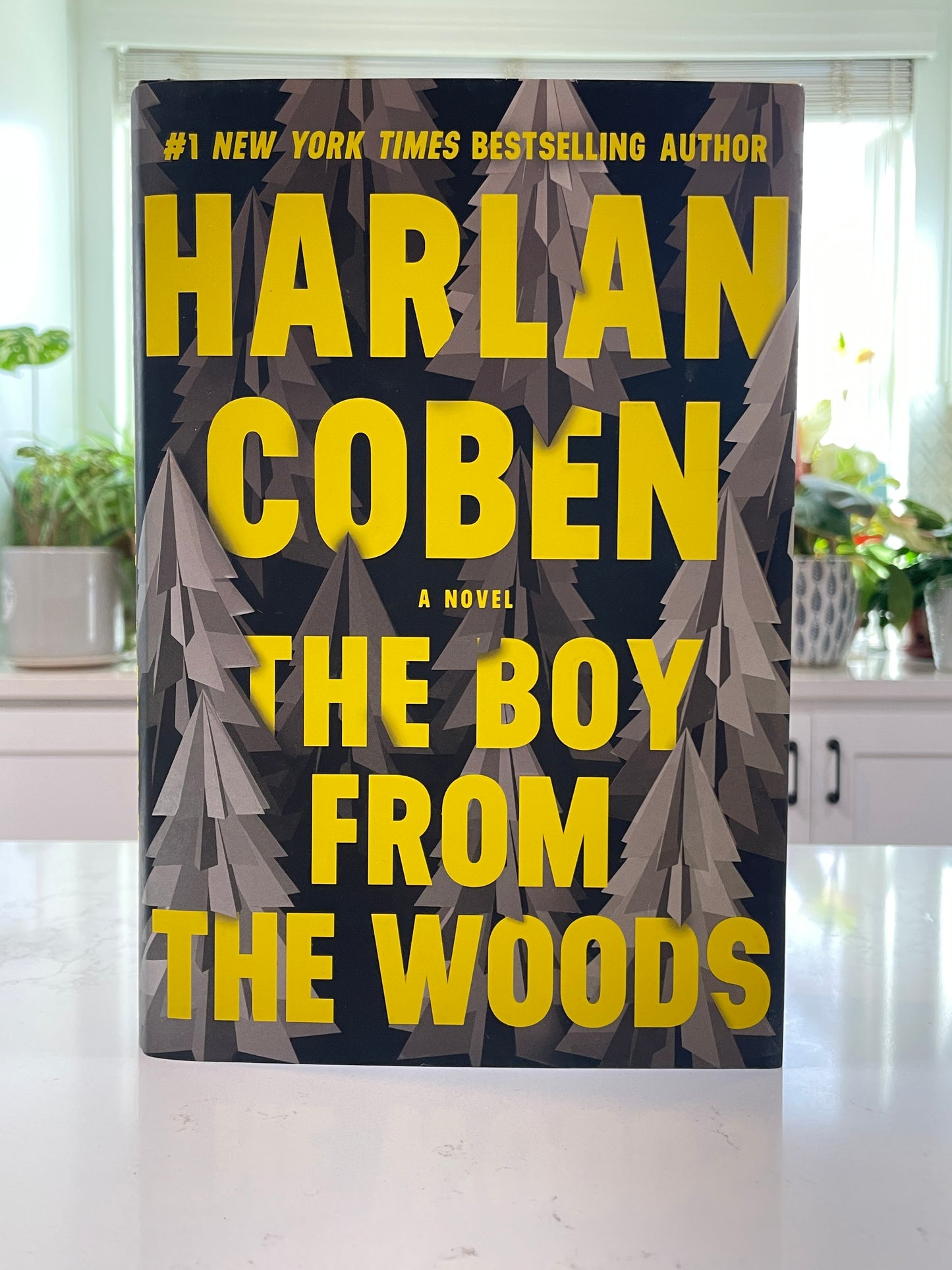 The Boy From the Woods by Harlan Coben (secondhand book)