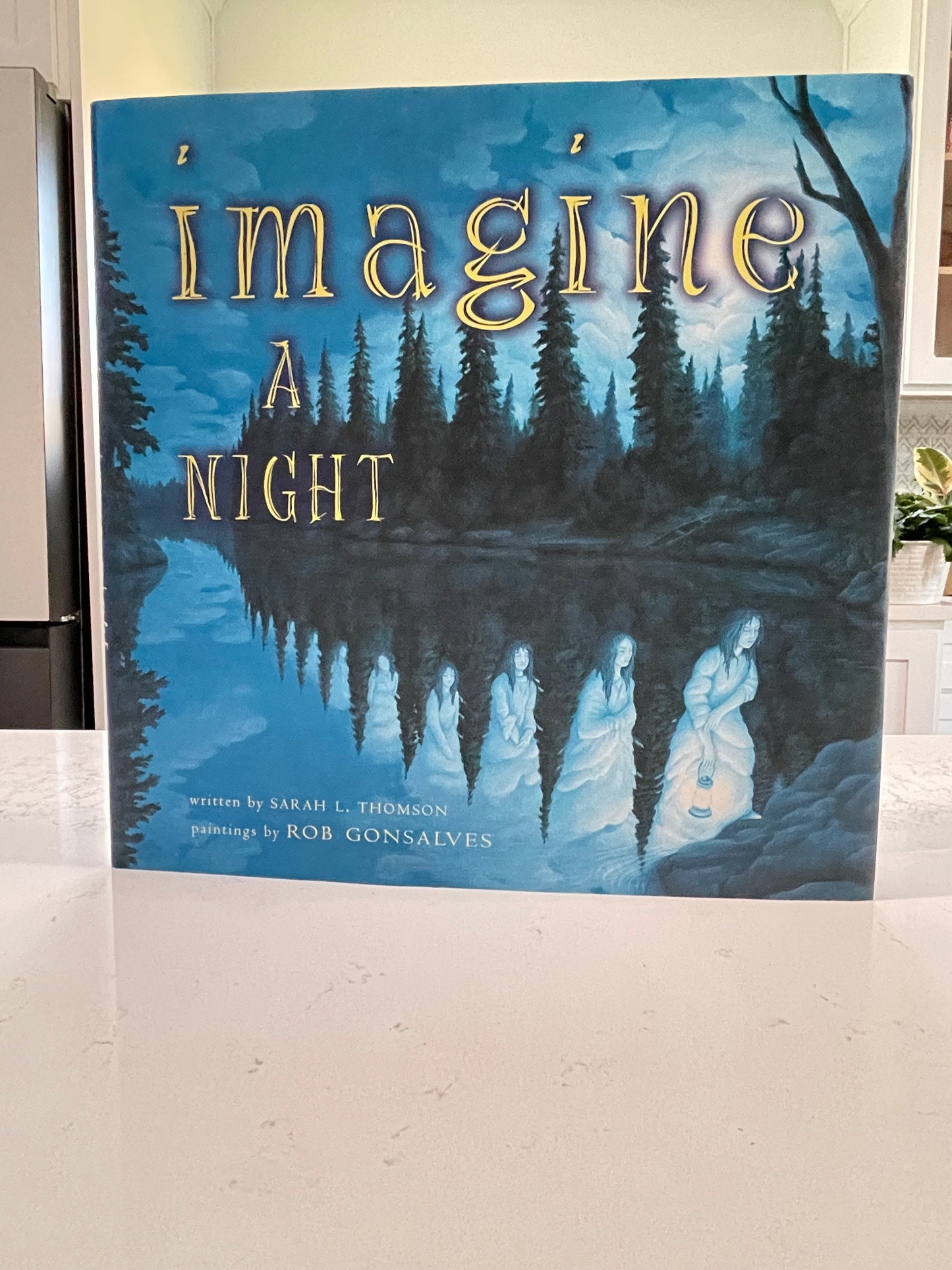 Imagine A Night by Sarah L. Thomson (used book)