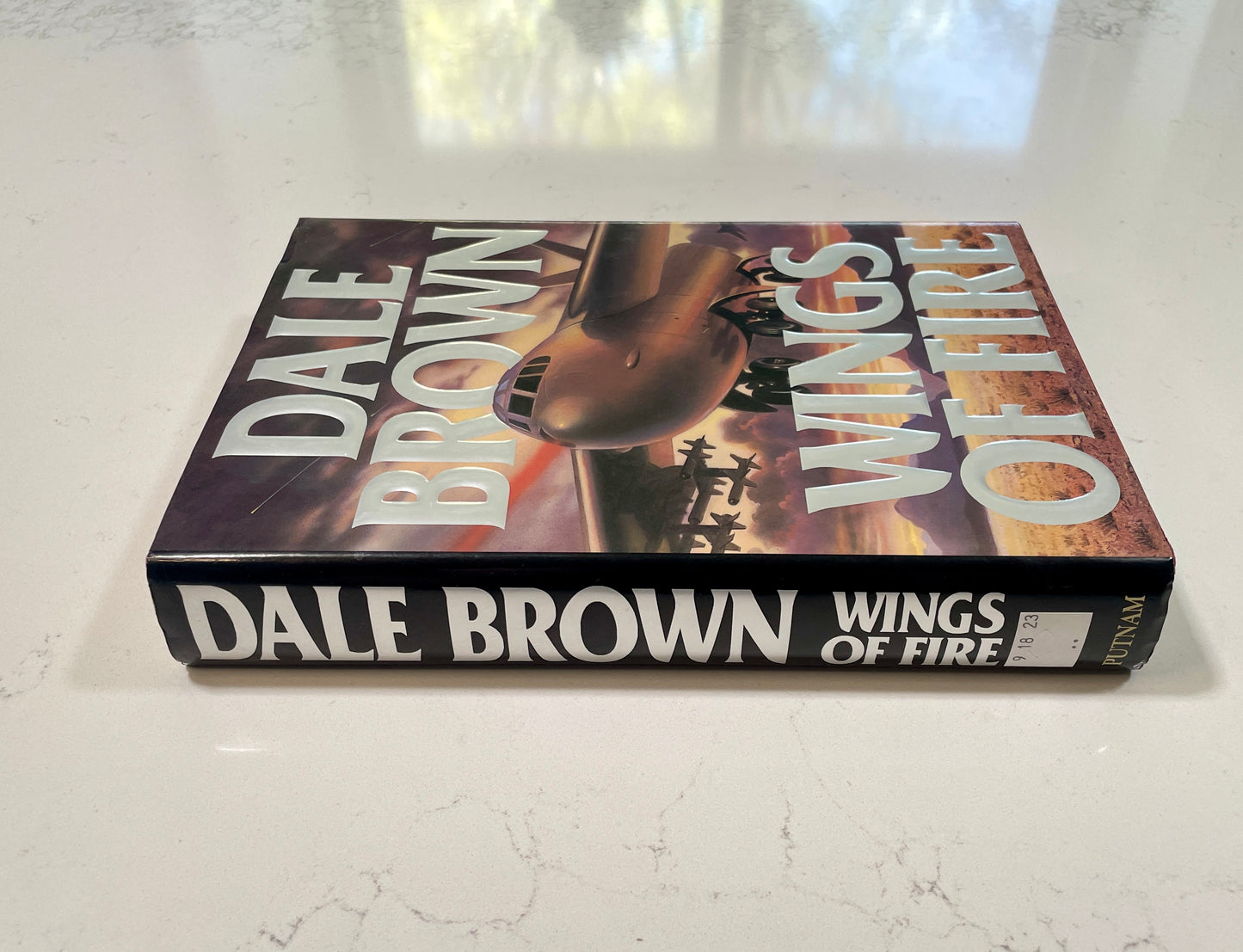 Wings of Fire written by Dale Brown