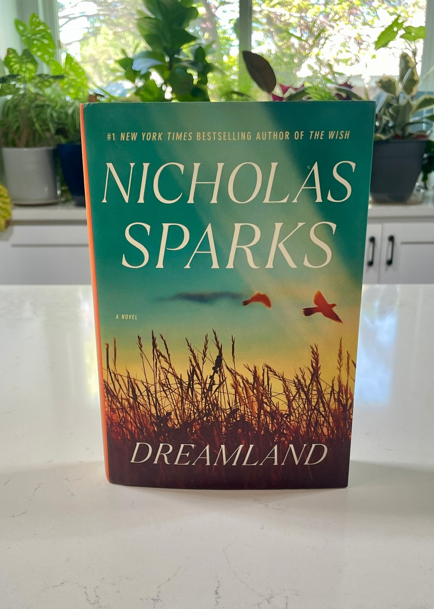 Dreamland written by Nicholas Sparks