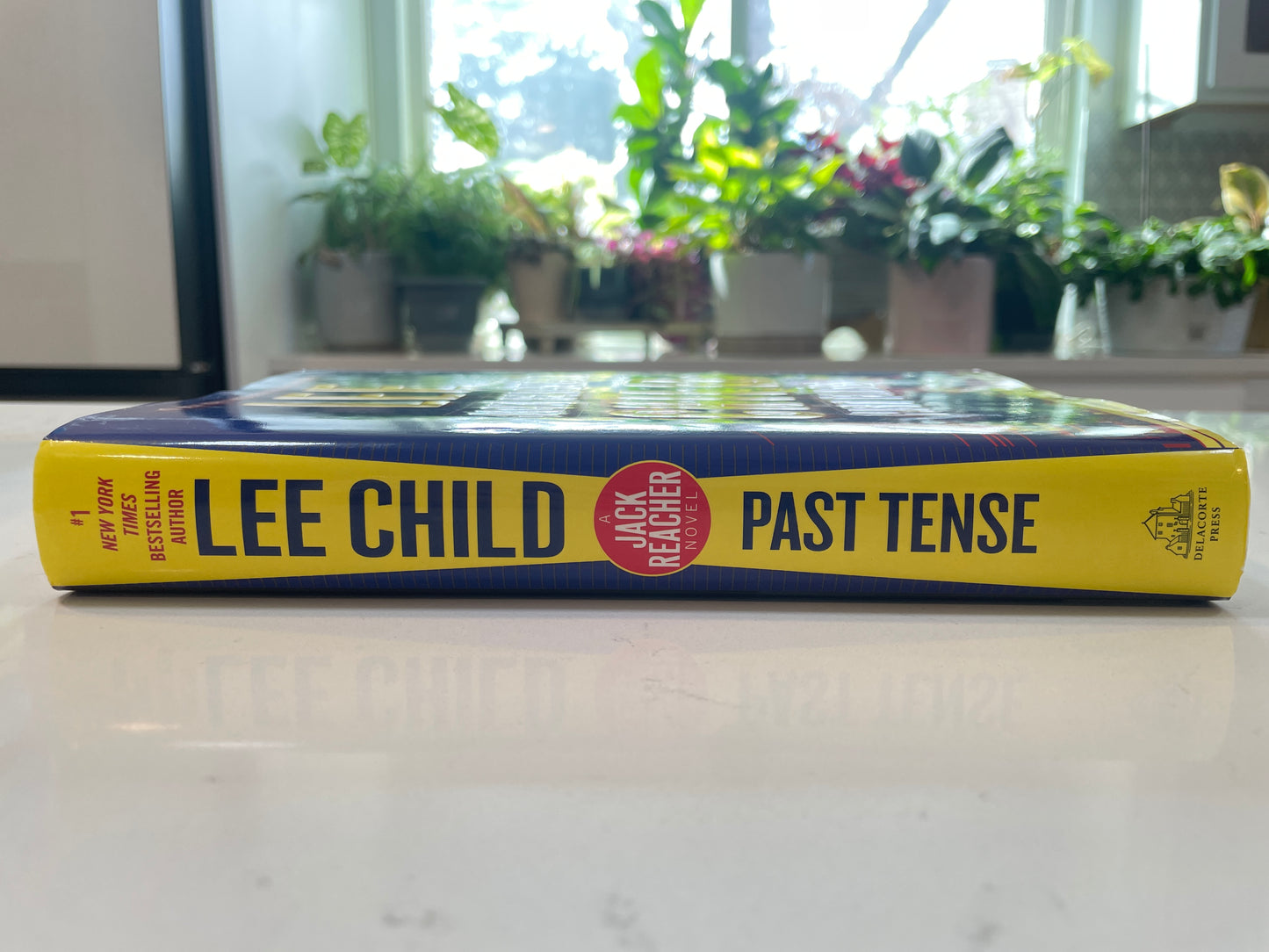 Past Tense by Lee Child (used book)