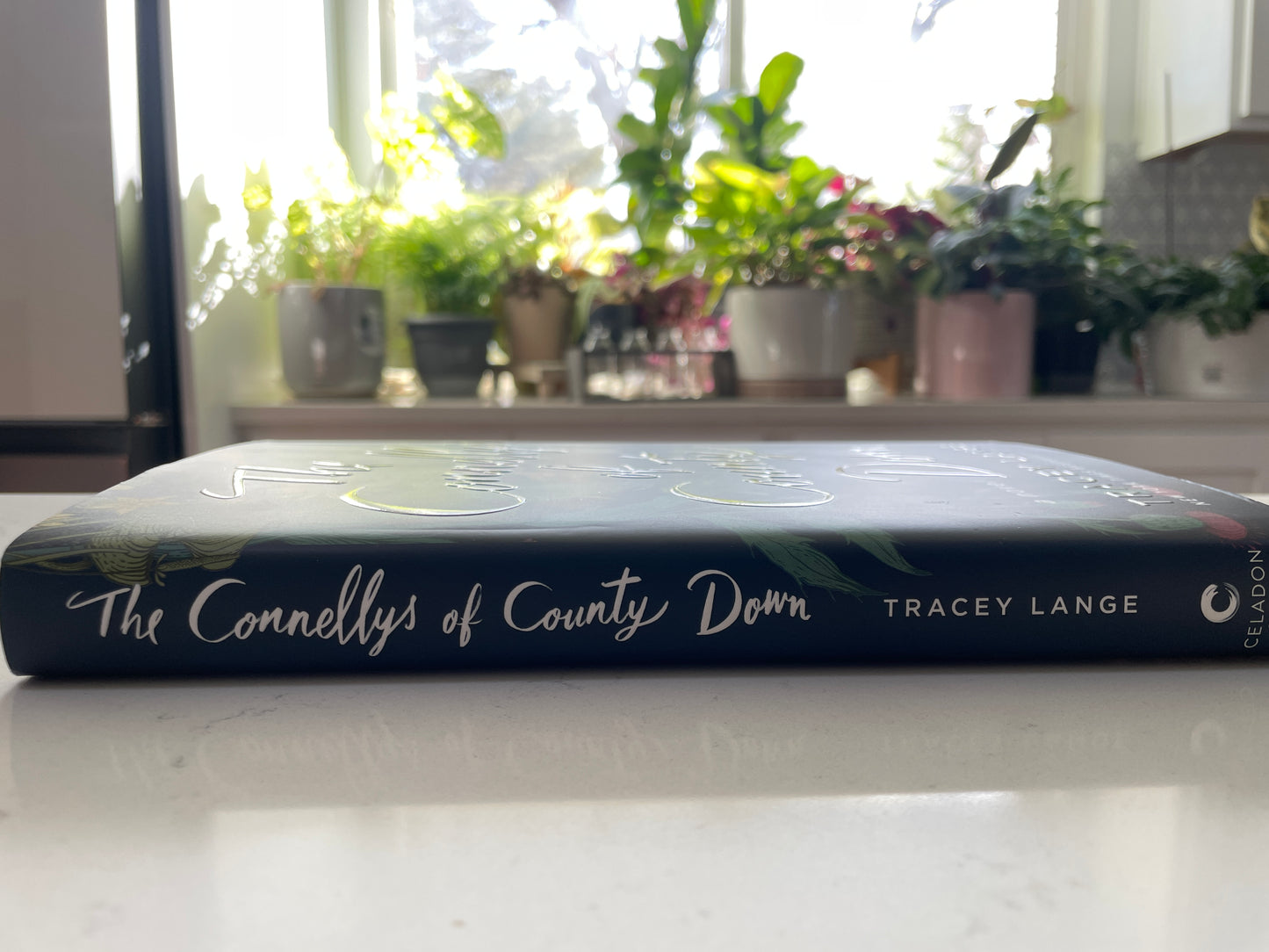 The Connellys of County Down by Tracey Lange (secondhand book)