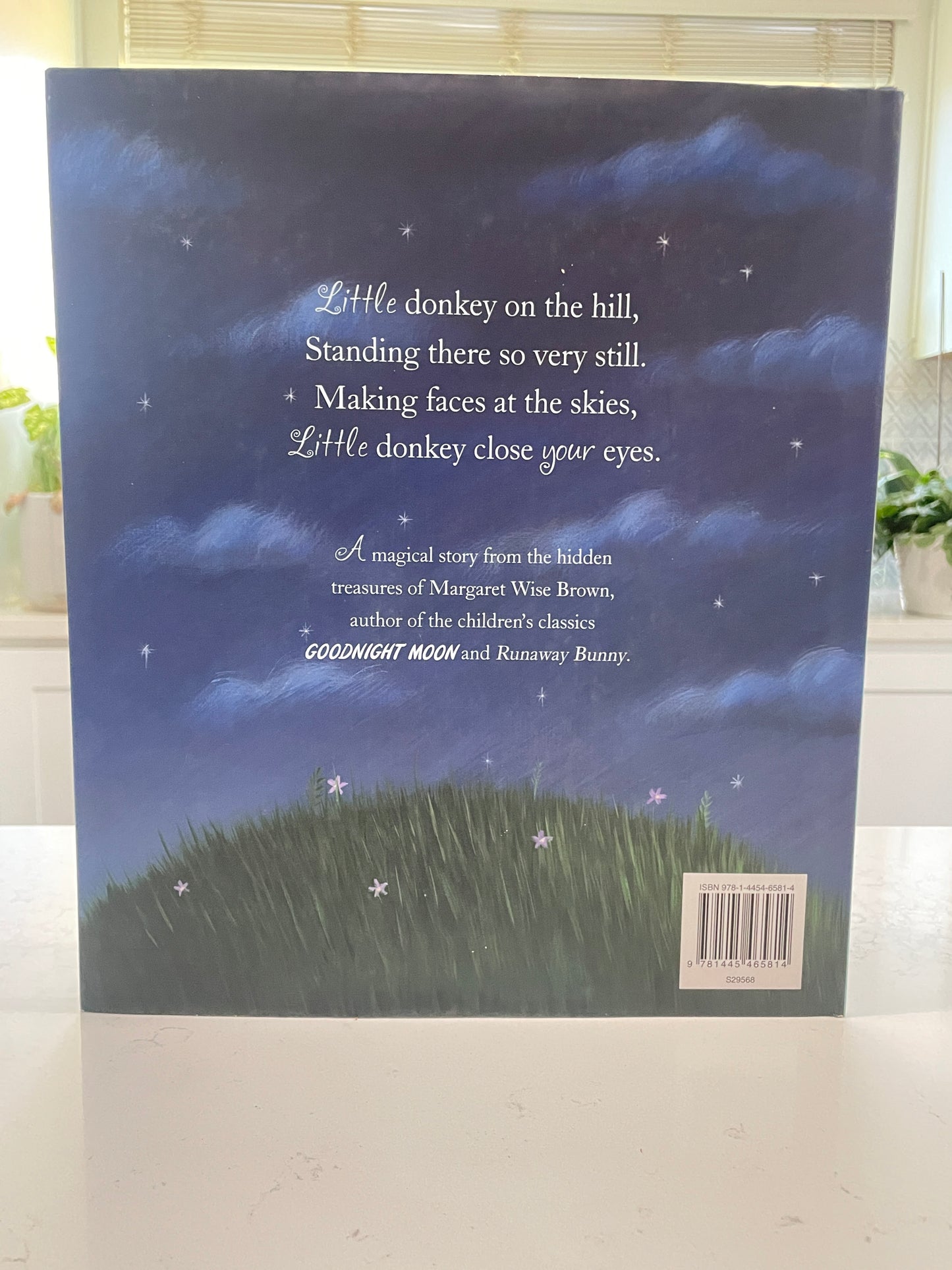 Goodnight Little One by Rebecca Elliott (used book)