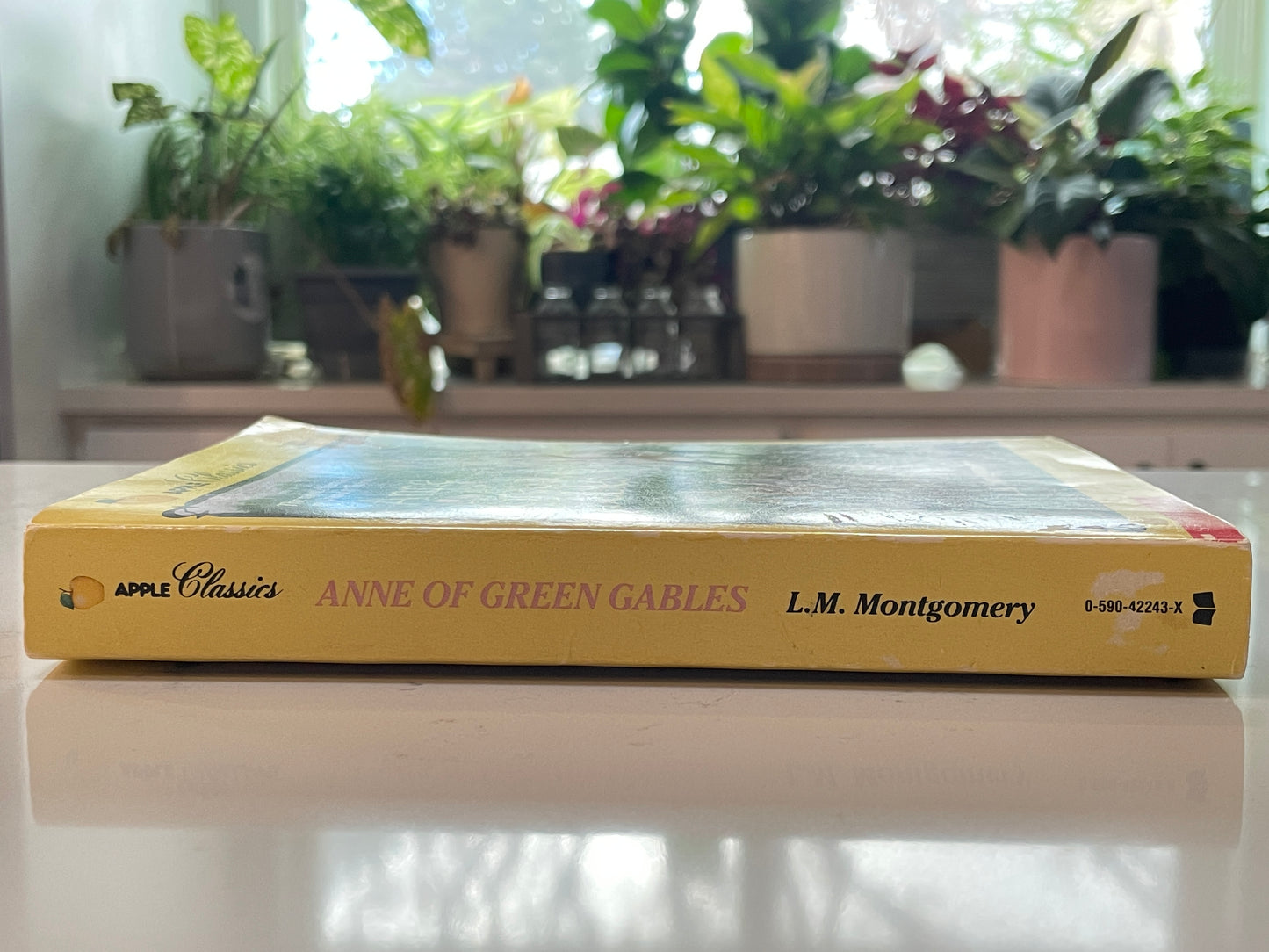 Anne of Green Gables by L.M. Montgomery (used book)