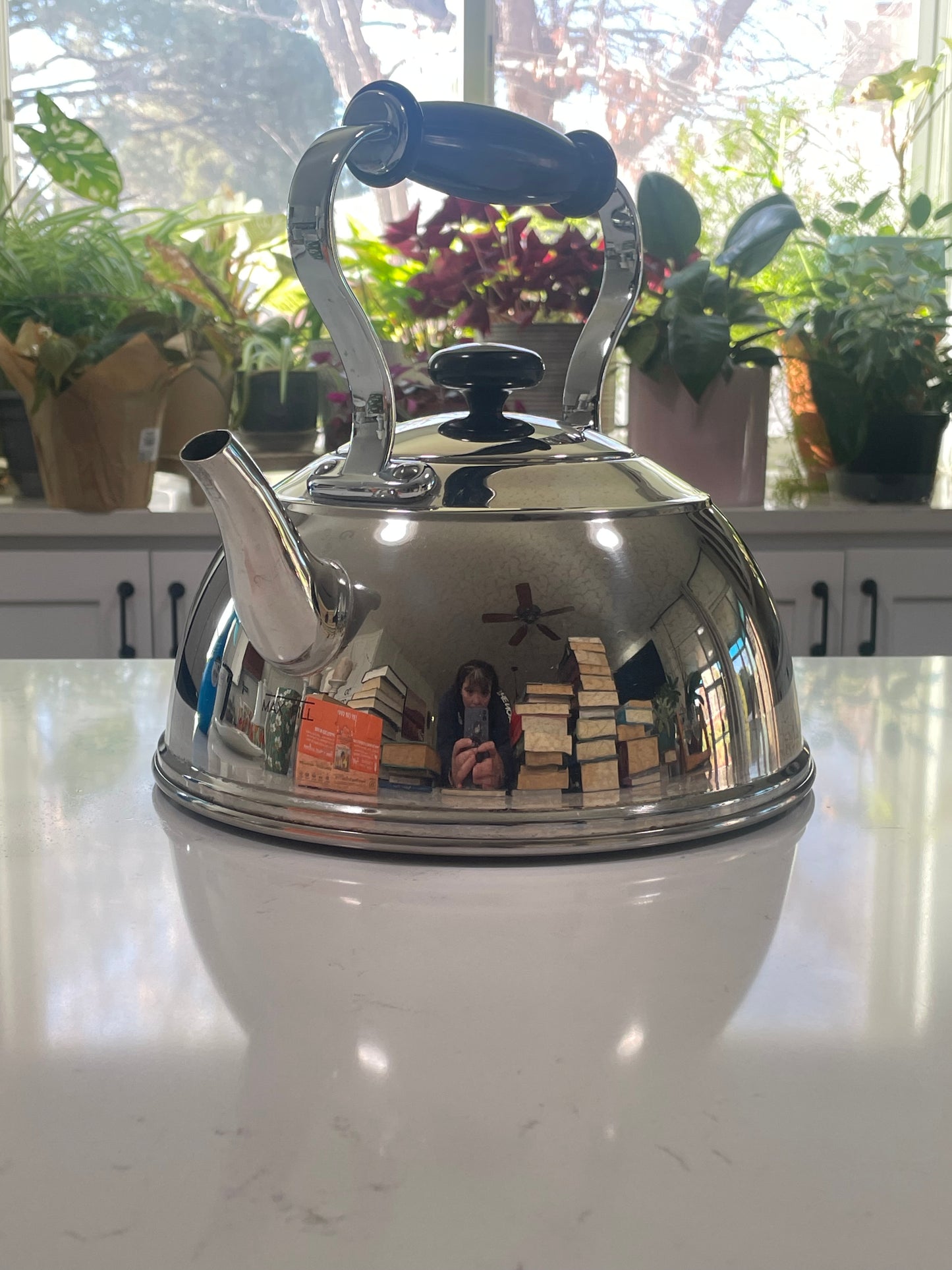 Vintage Tea Kettle (Copco)