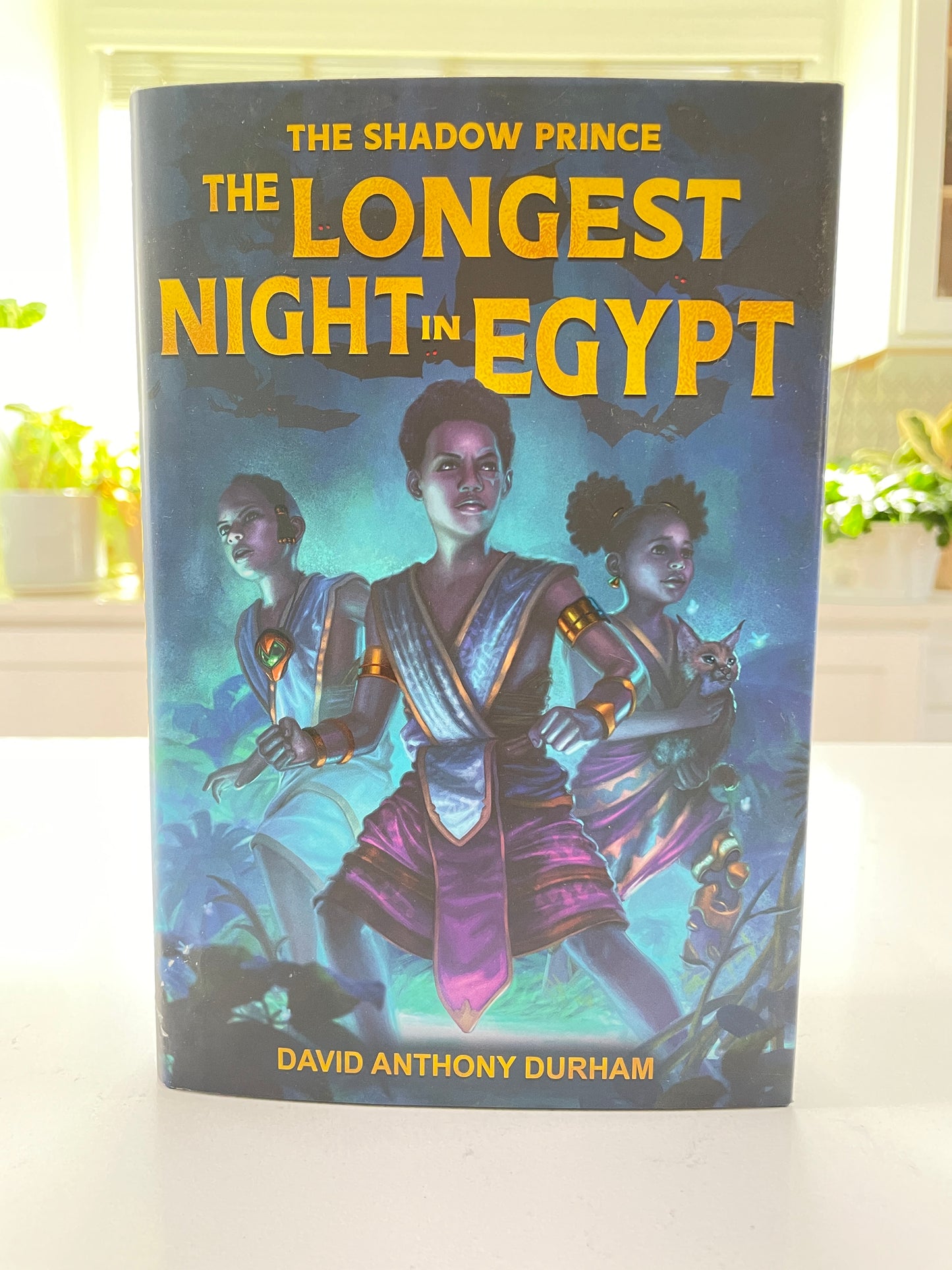 The Longest Night in Egypt by David Anthony Durham