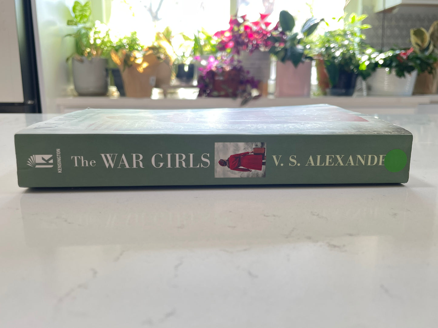 The War Girls (used book)