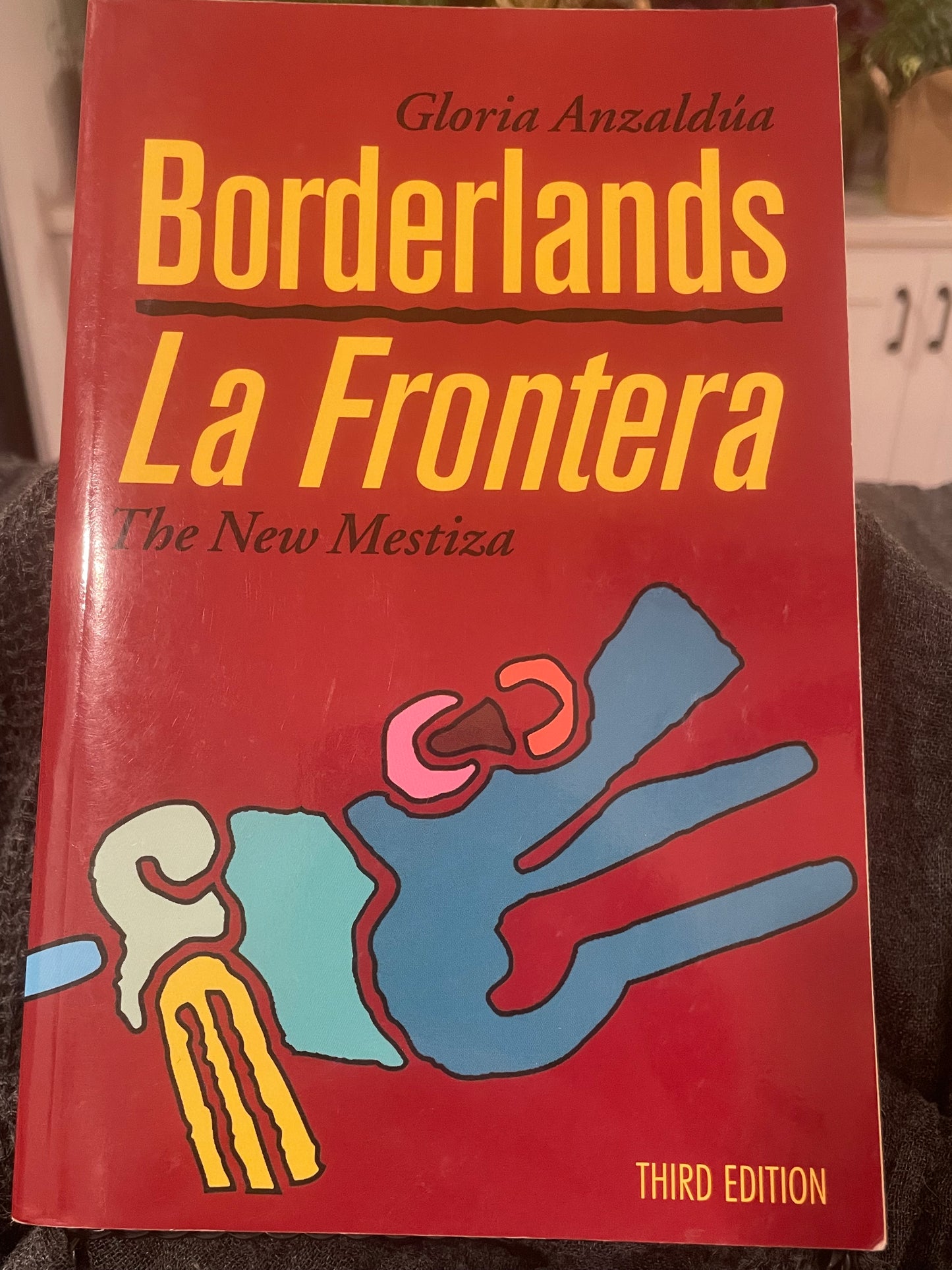 Borderlands/La Frontera (used book)