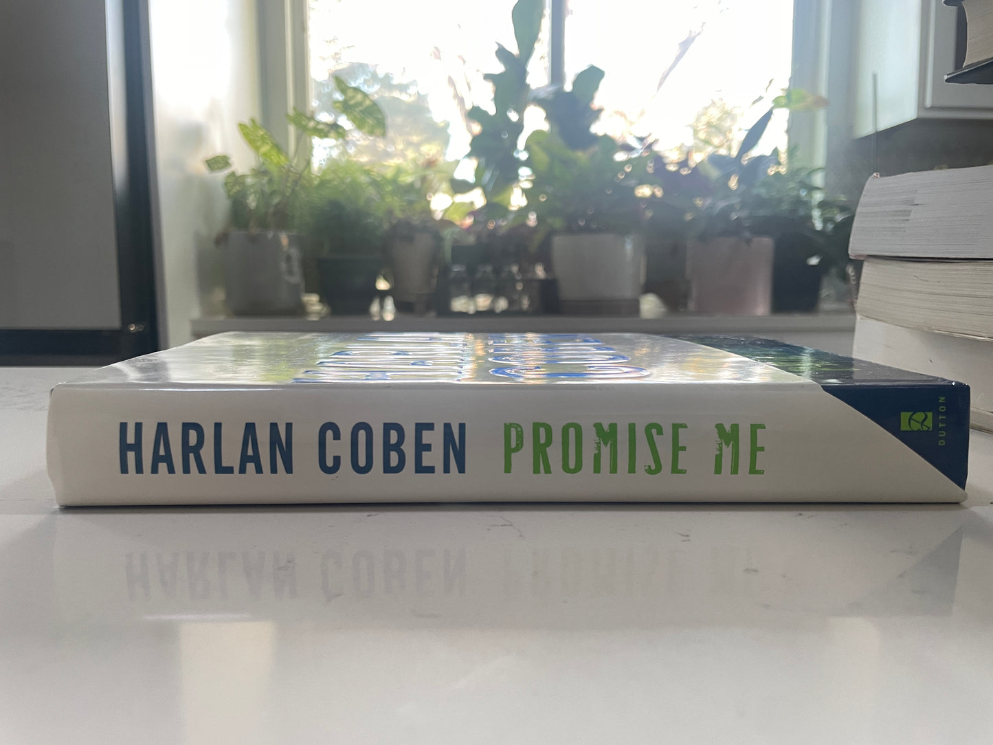 Promise Me by Harlan Coben (used book)