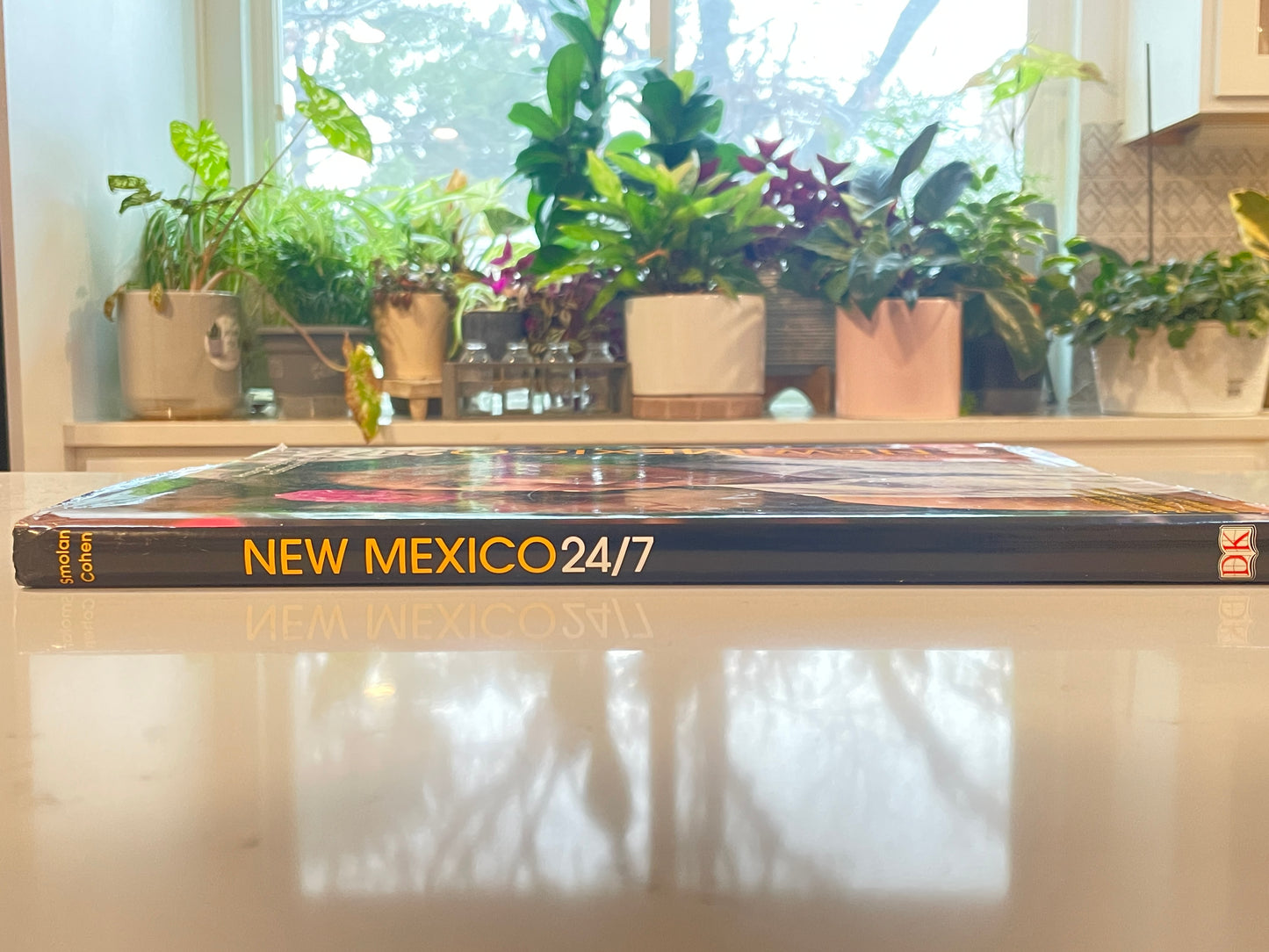 New Mexico 24/7 by Rick Smolan & David Cohen (used book)