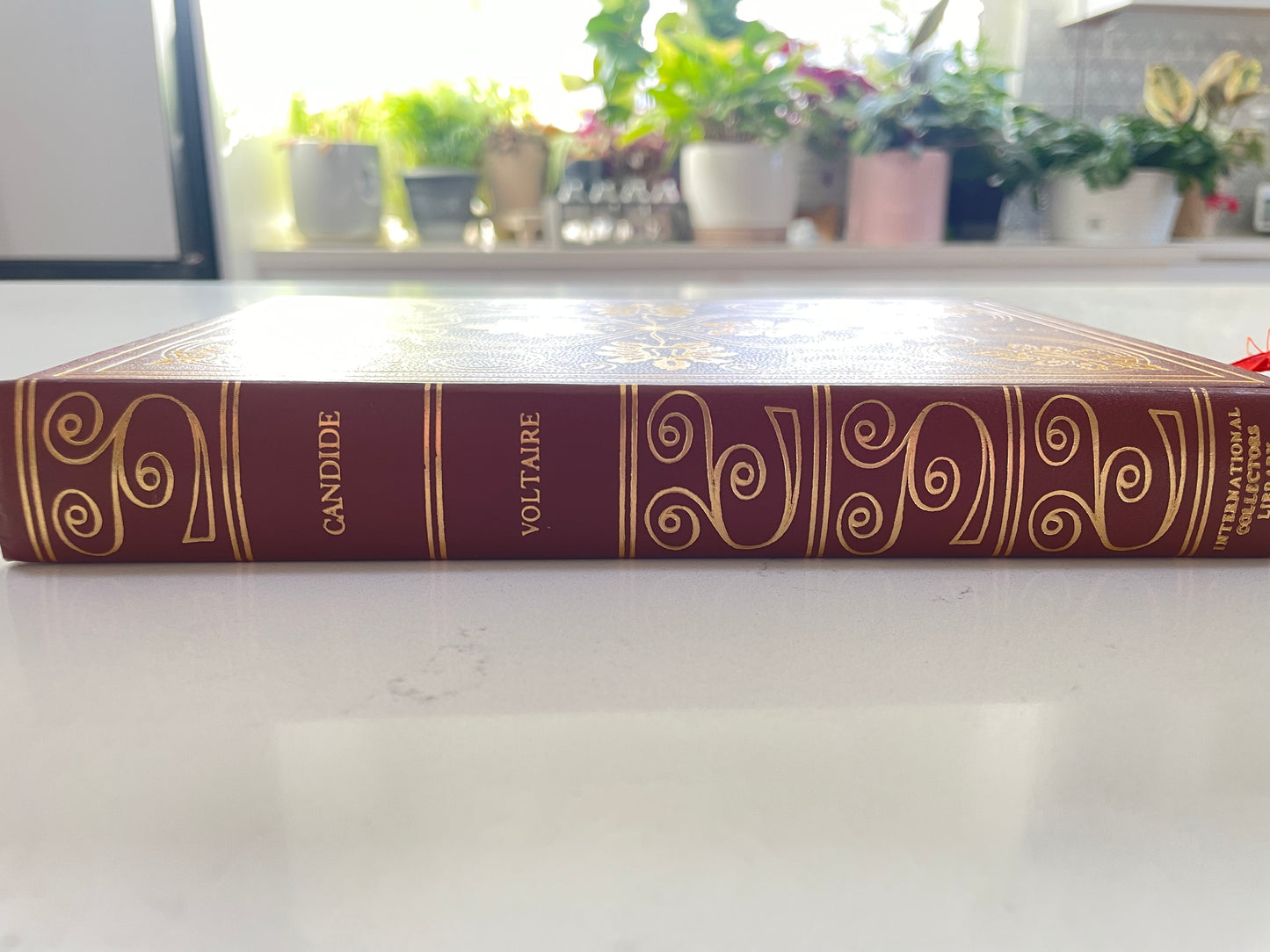 Candide by Voltaire Leather Bound (secondhand book)