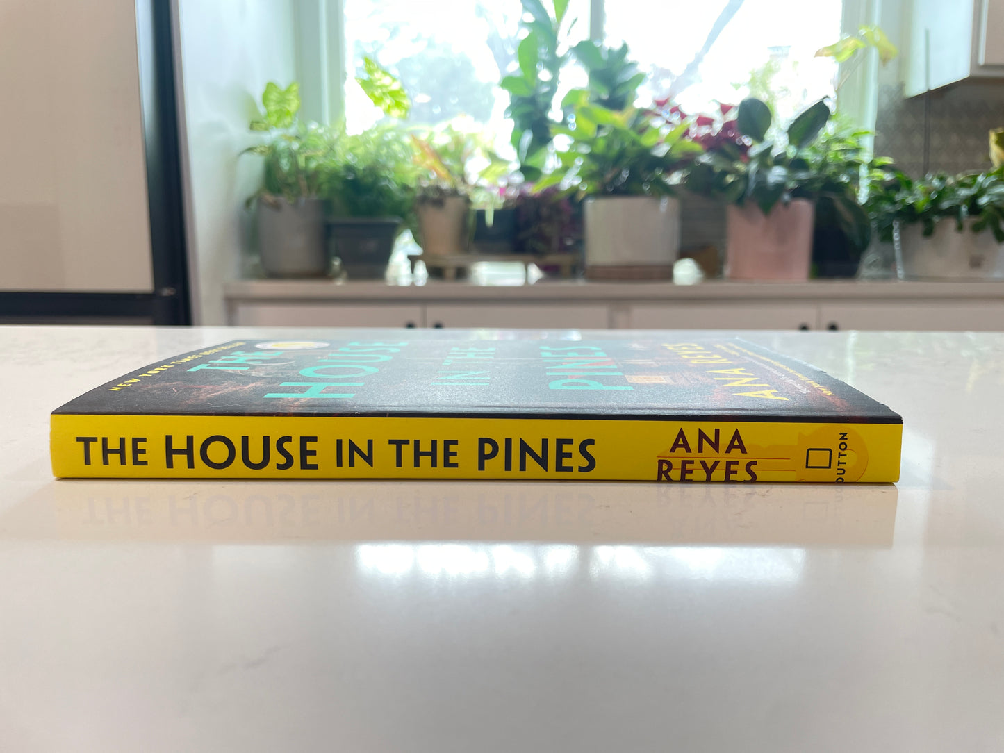 A House in the Pines by Ana Reyes (new book)