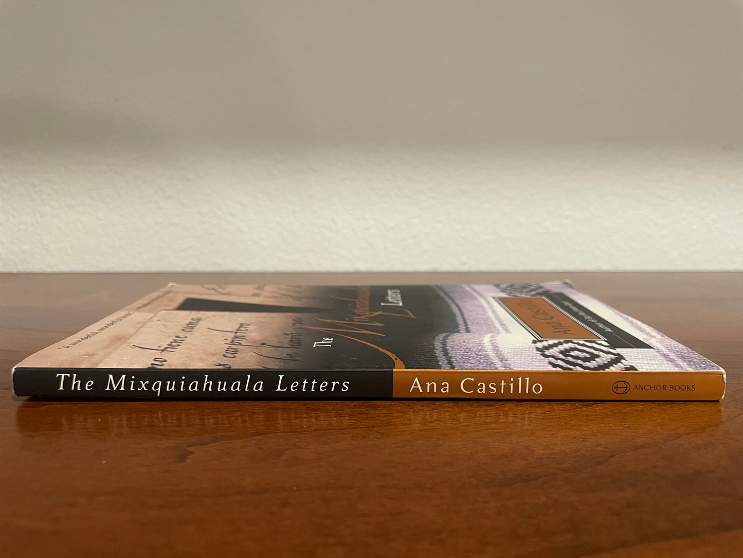 The Mixquiahuala Letters (used book)