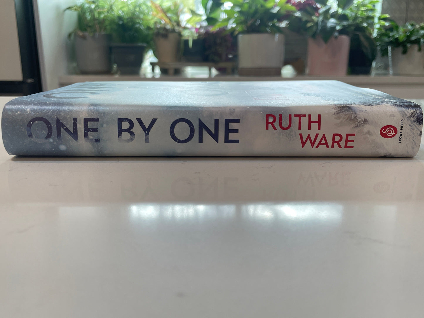 One By One by Ruth Ware (used book)