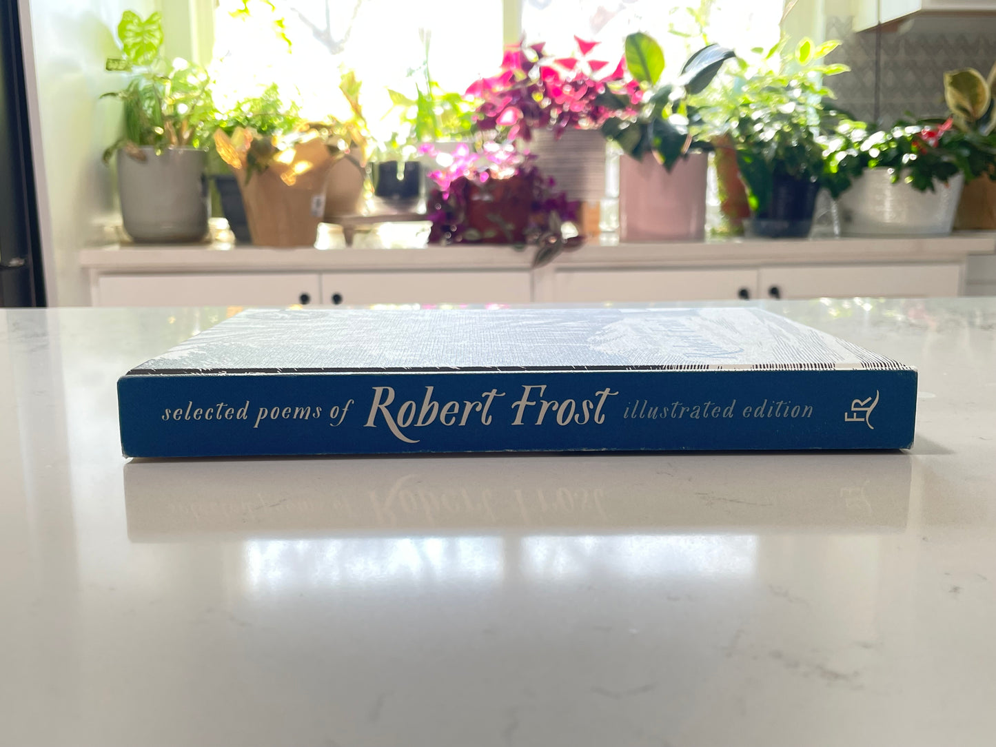 Selected Poems of Robert Frost (used book)