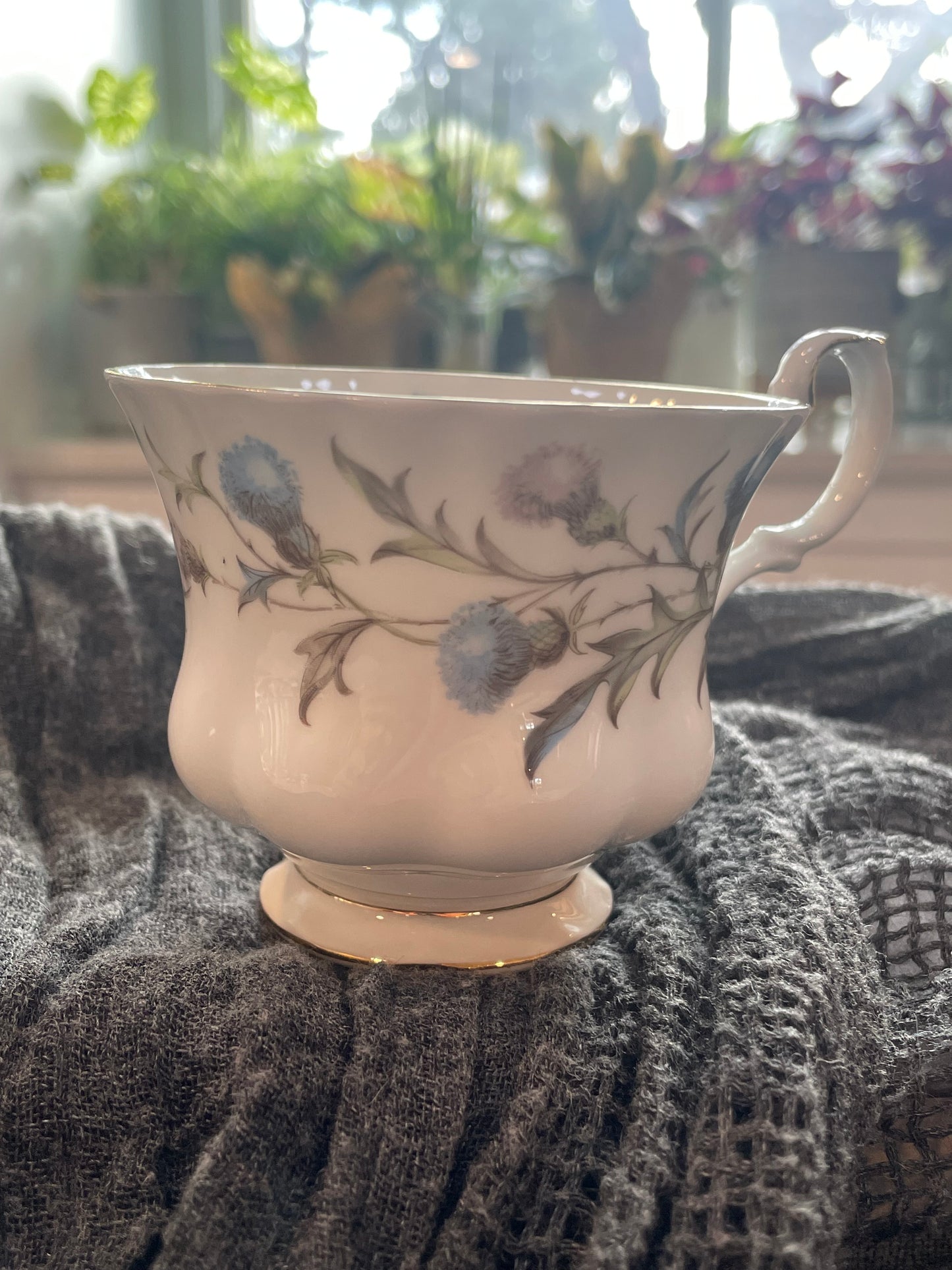 Royal Albert Brigadoon Teacup