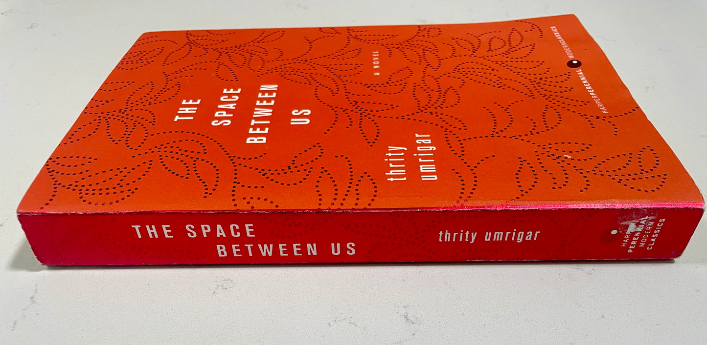 The Space Between Us by Thirty Umrigar