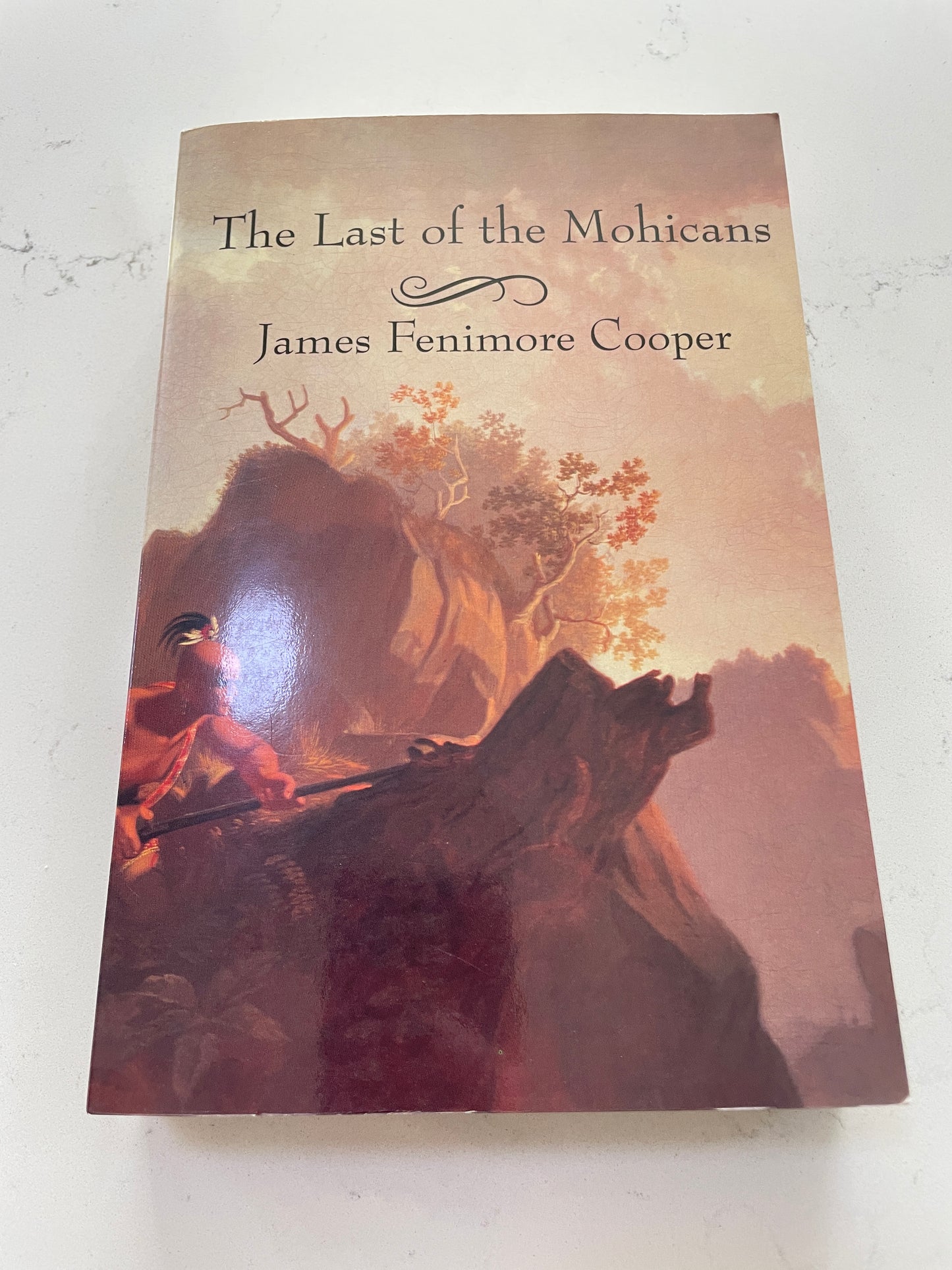 The Last of the Mochicans by James Fenimore Cooper (secondhand book)