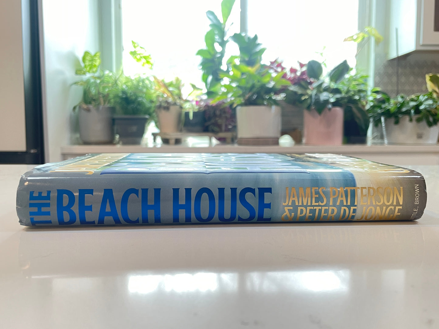 The Beach House by James Patterson & Peter De Jonge (used book)