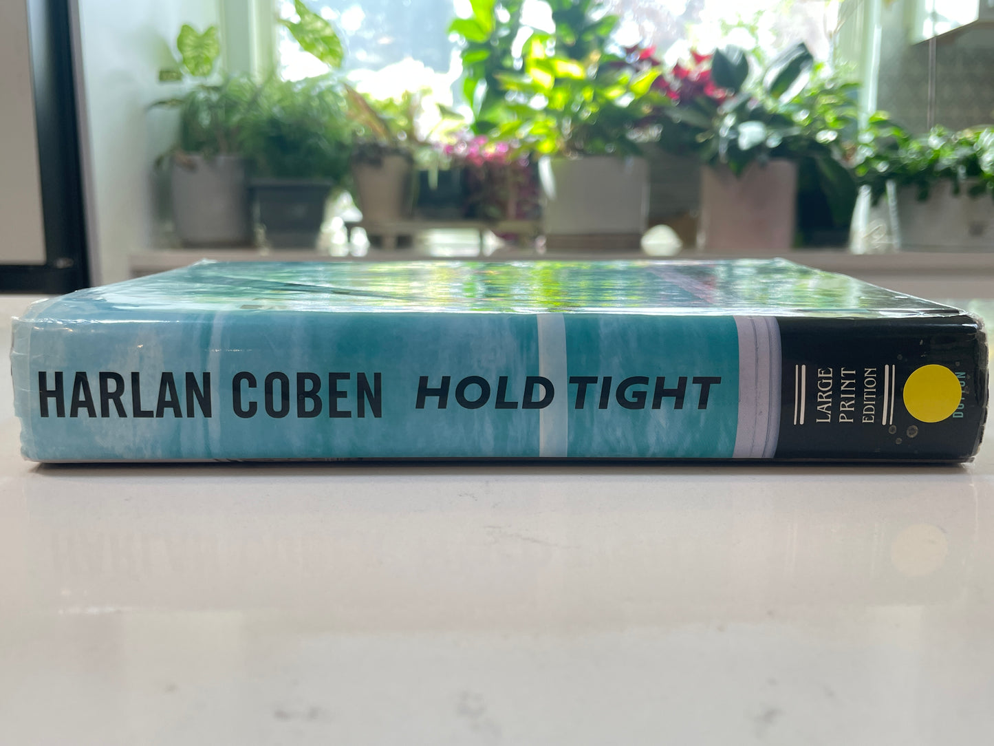 Hold Tight by Harlan Coben (used book)