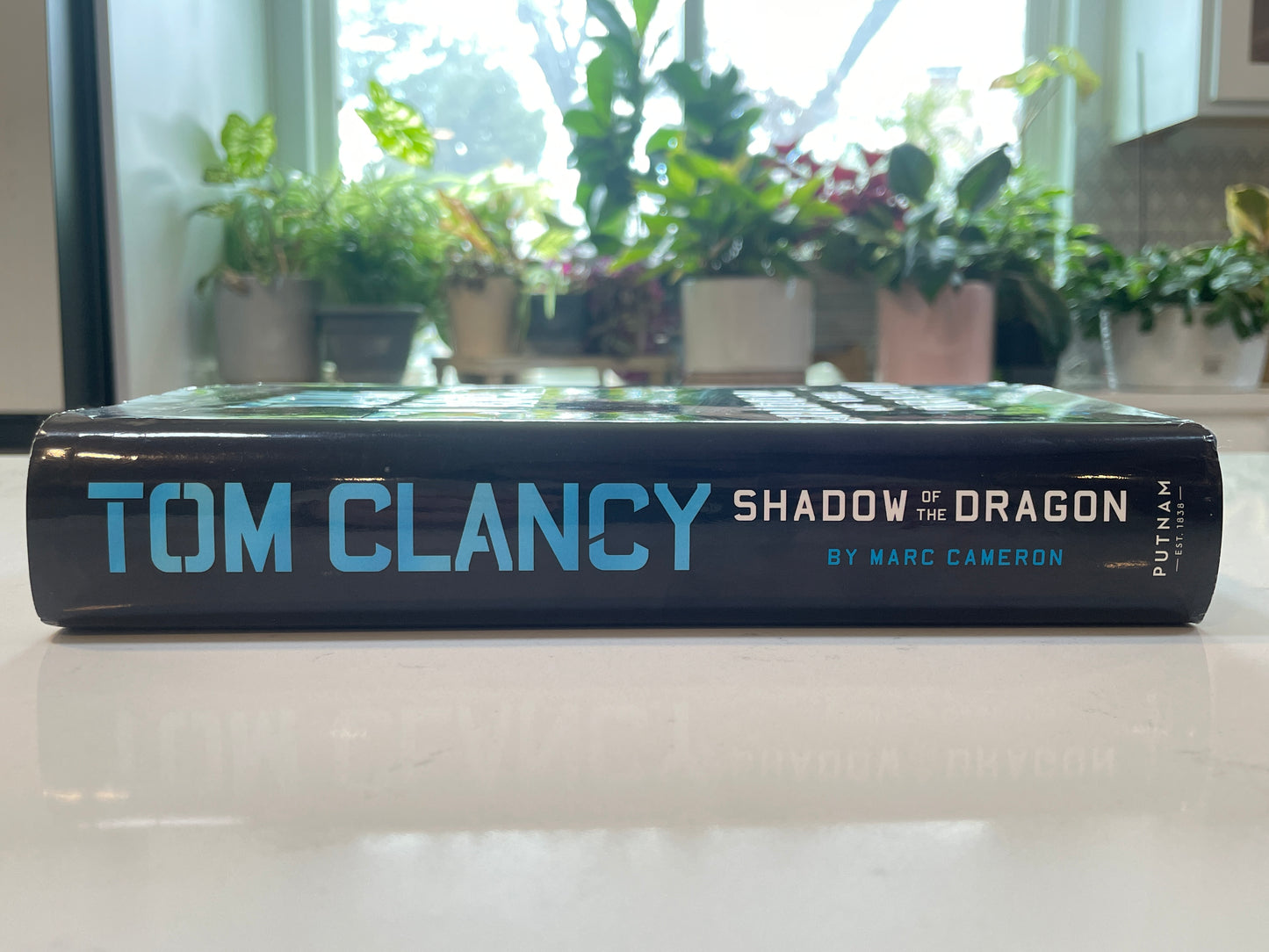 Shadow of the Dragon by Marc Cameron (used book)