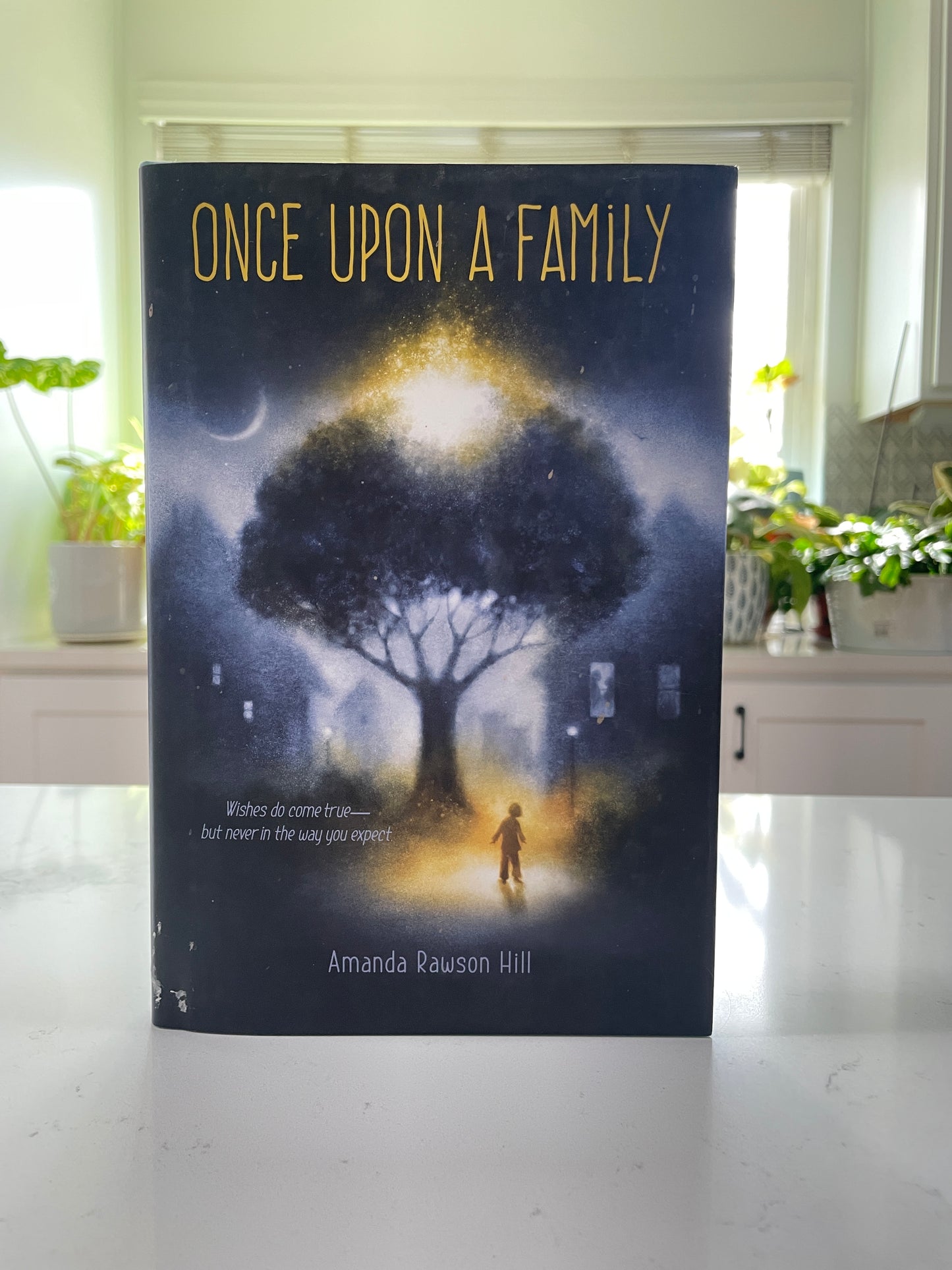 Once Upon a Family by Amanda Rawson Hill