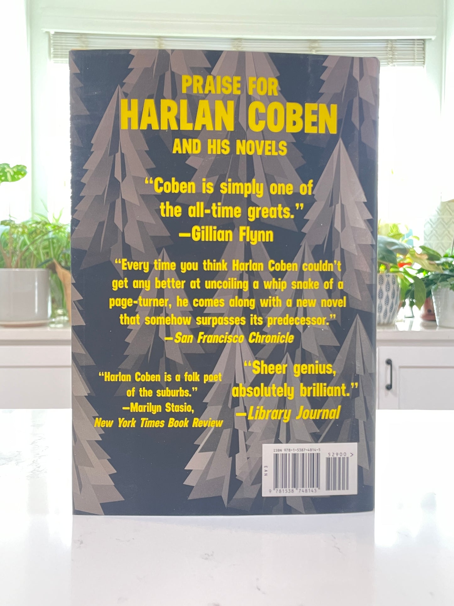 The Boy From the Woods by Harlan Coben (secondhand book)