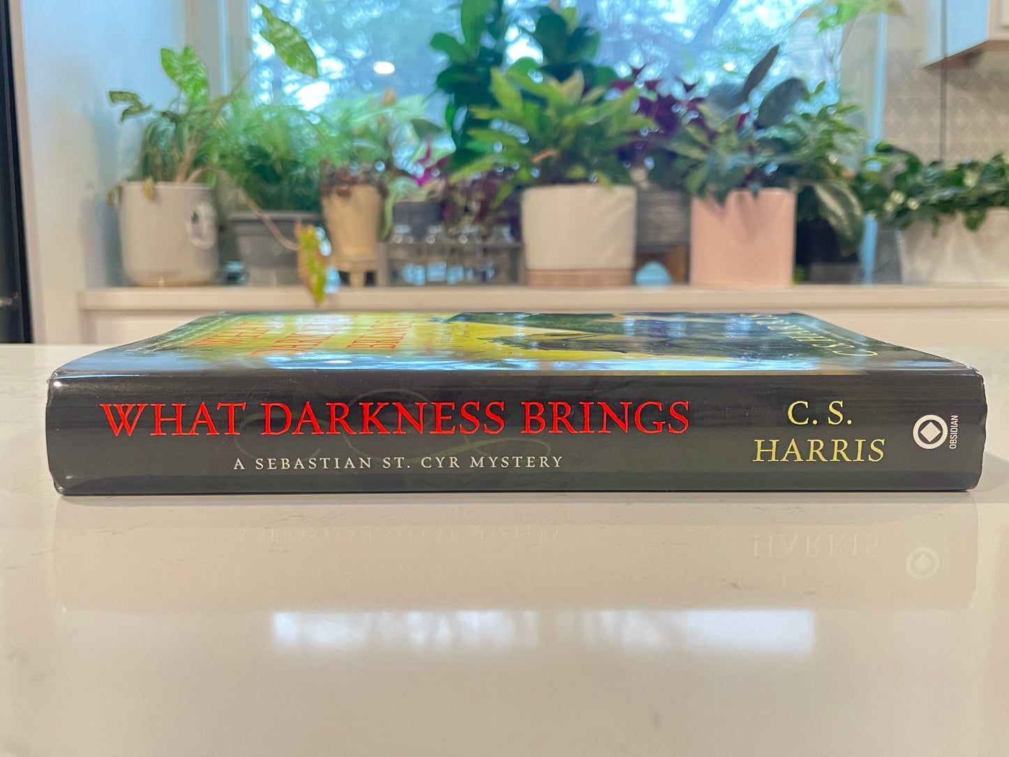 What Darkness Brings by C.S. Harris (used book)