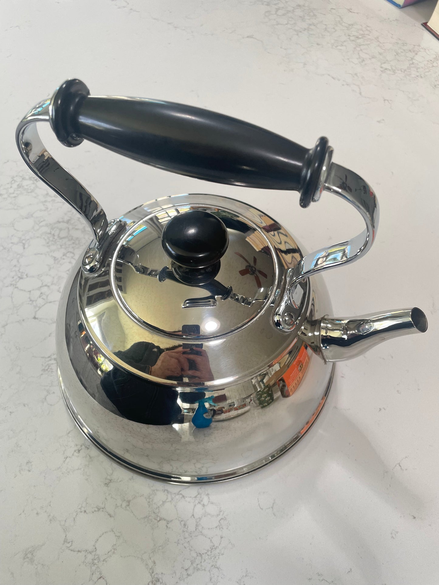 Vintage Tea Kettle (Copco)