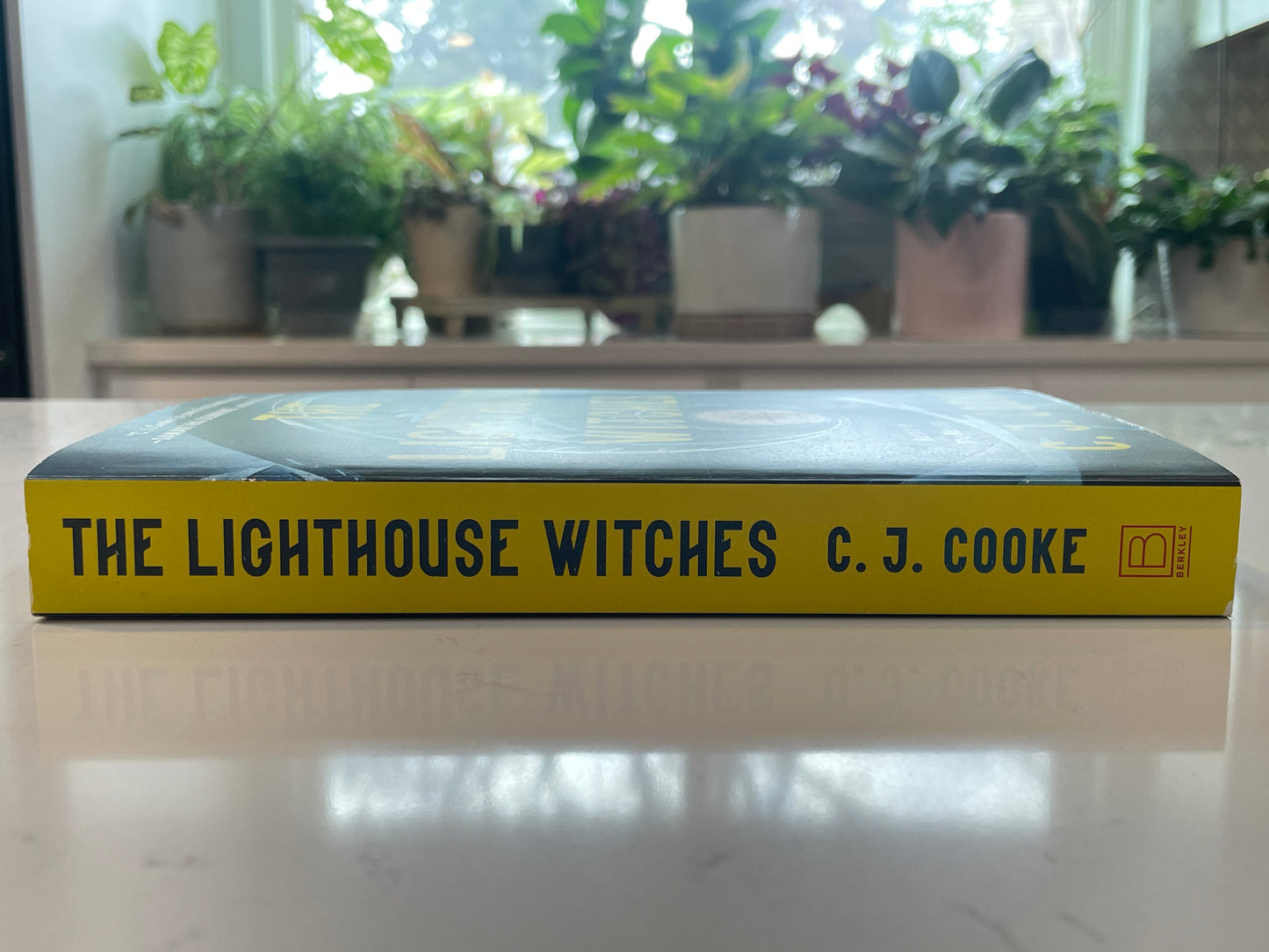 The Lighthouse Witches by C.J.Cooke (used book)