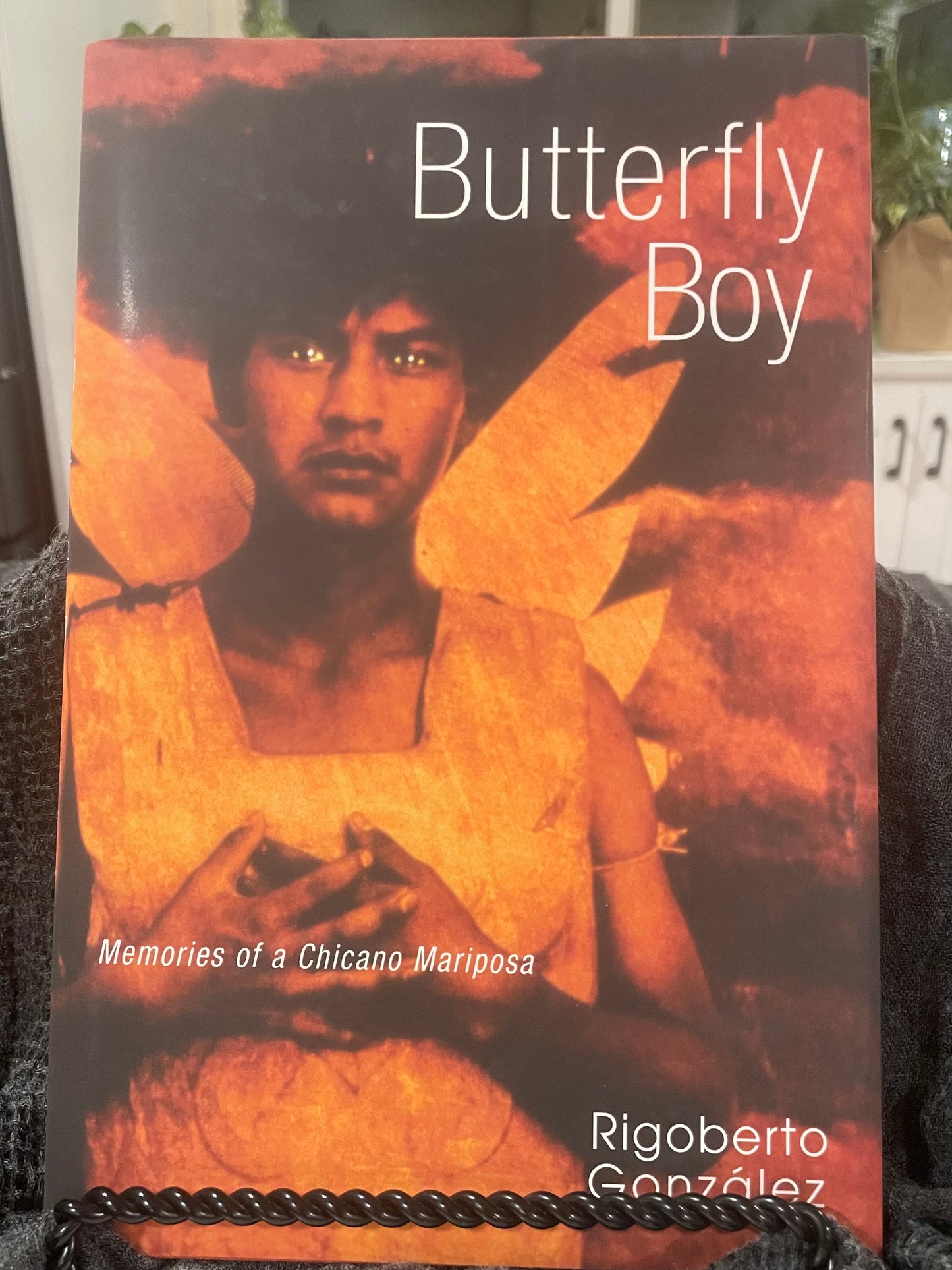 Butterfly Boy (used book)