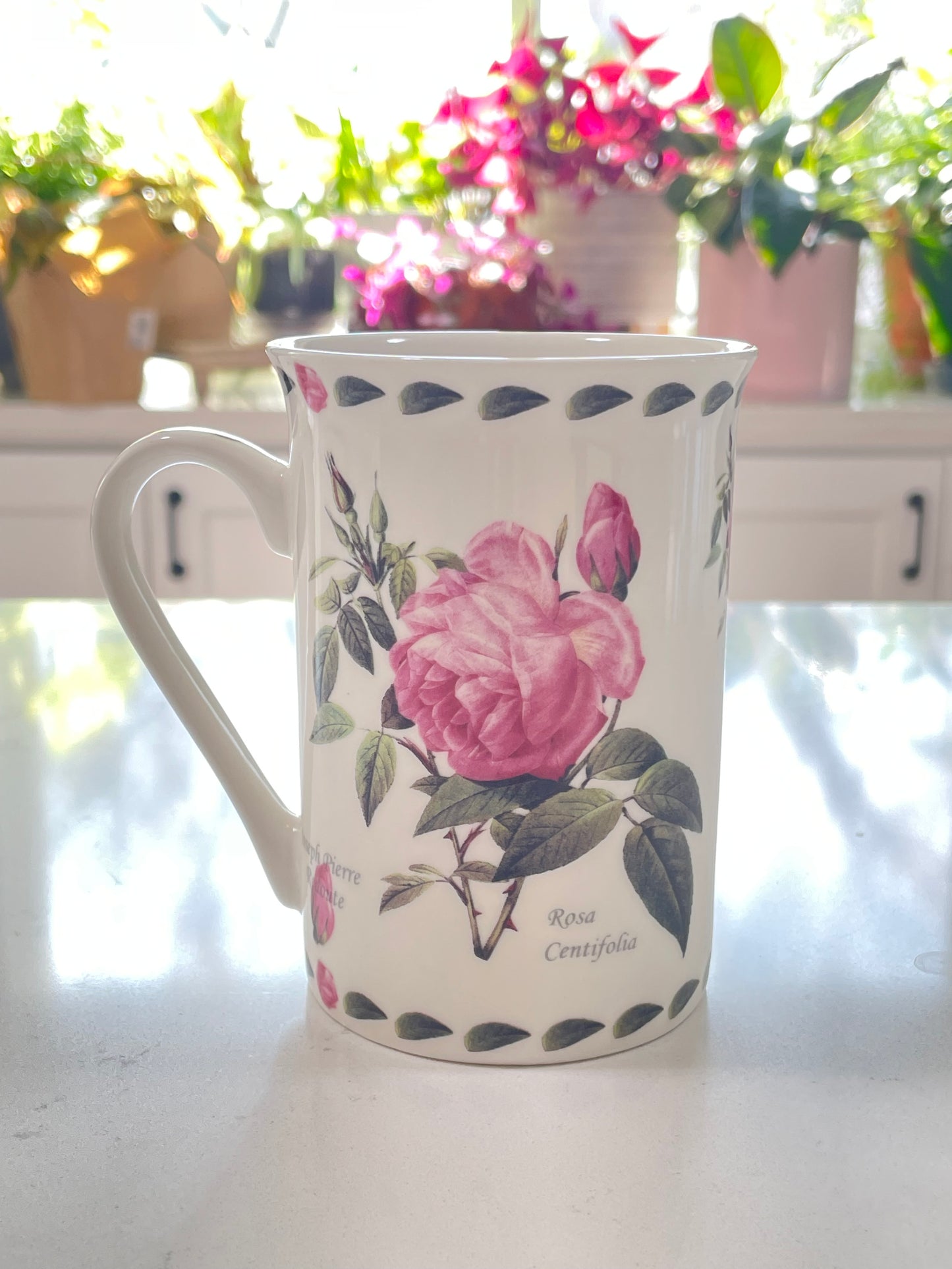 1887 Rosa Centifolia Porcelain Mug