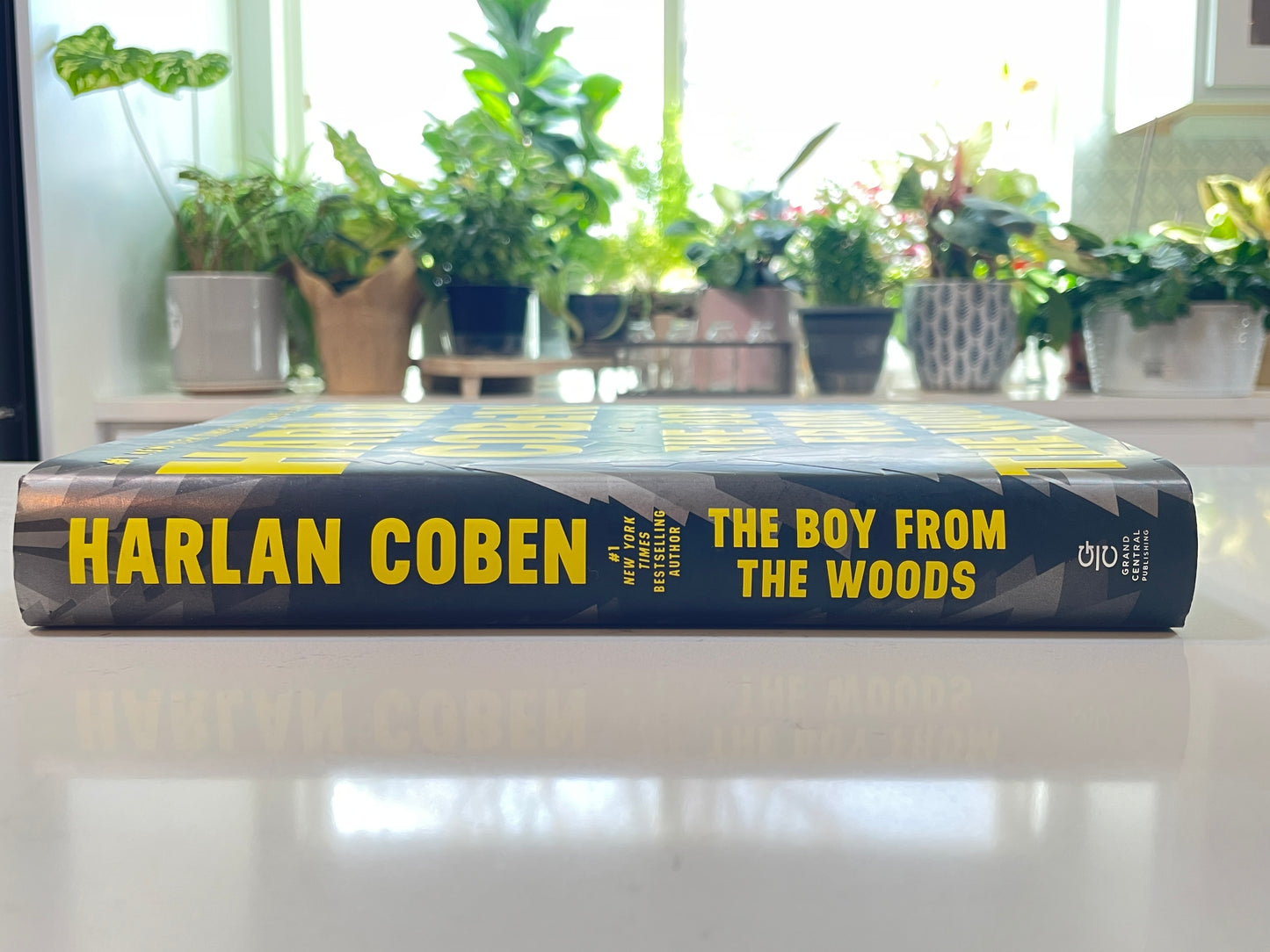 The Boy From the Woods by Harlan Coben (secondhand book)