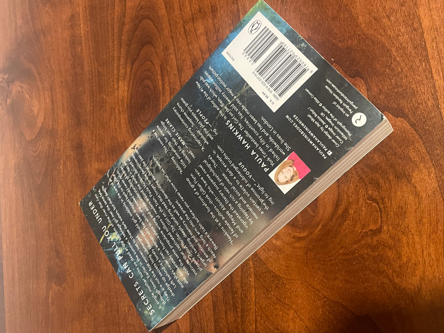 Into the Water (used book)