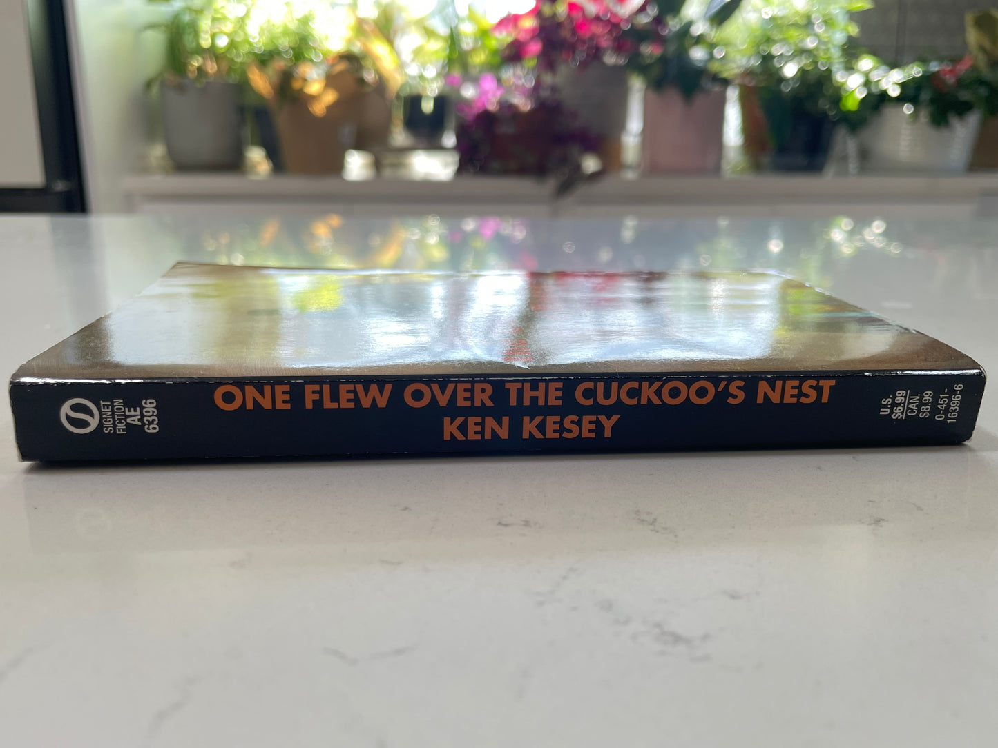 One Flew Over the Cuckoo’s Nest (used book)